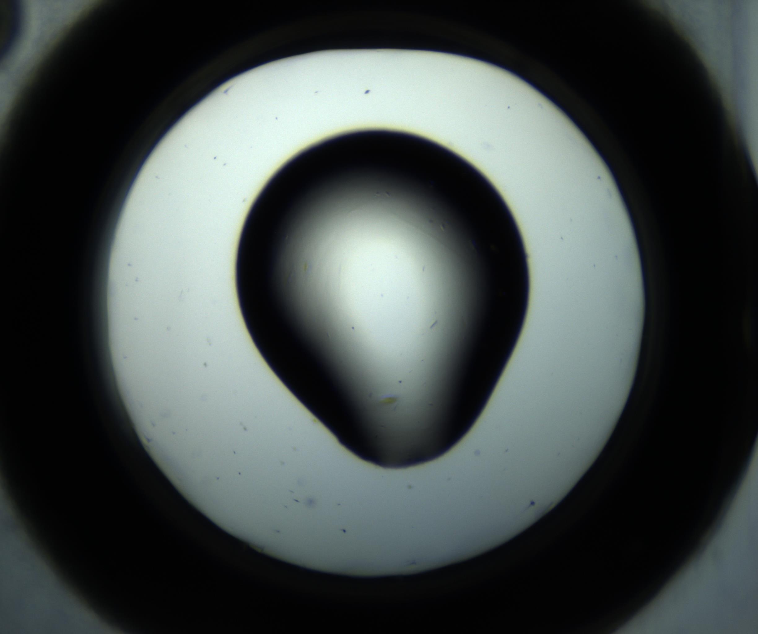 RI01_03_000_0212_Proj1_Clon1_MC_0000MC102892_001_161024_08_04_02_00_98_002_001_RAI.jpg