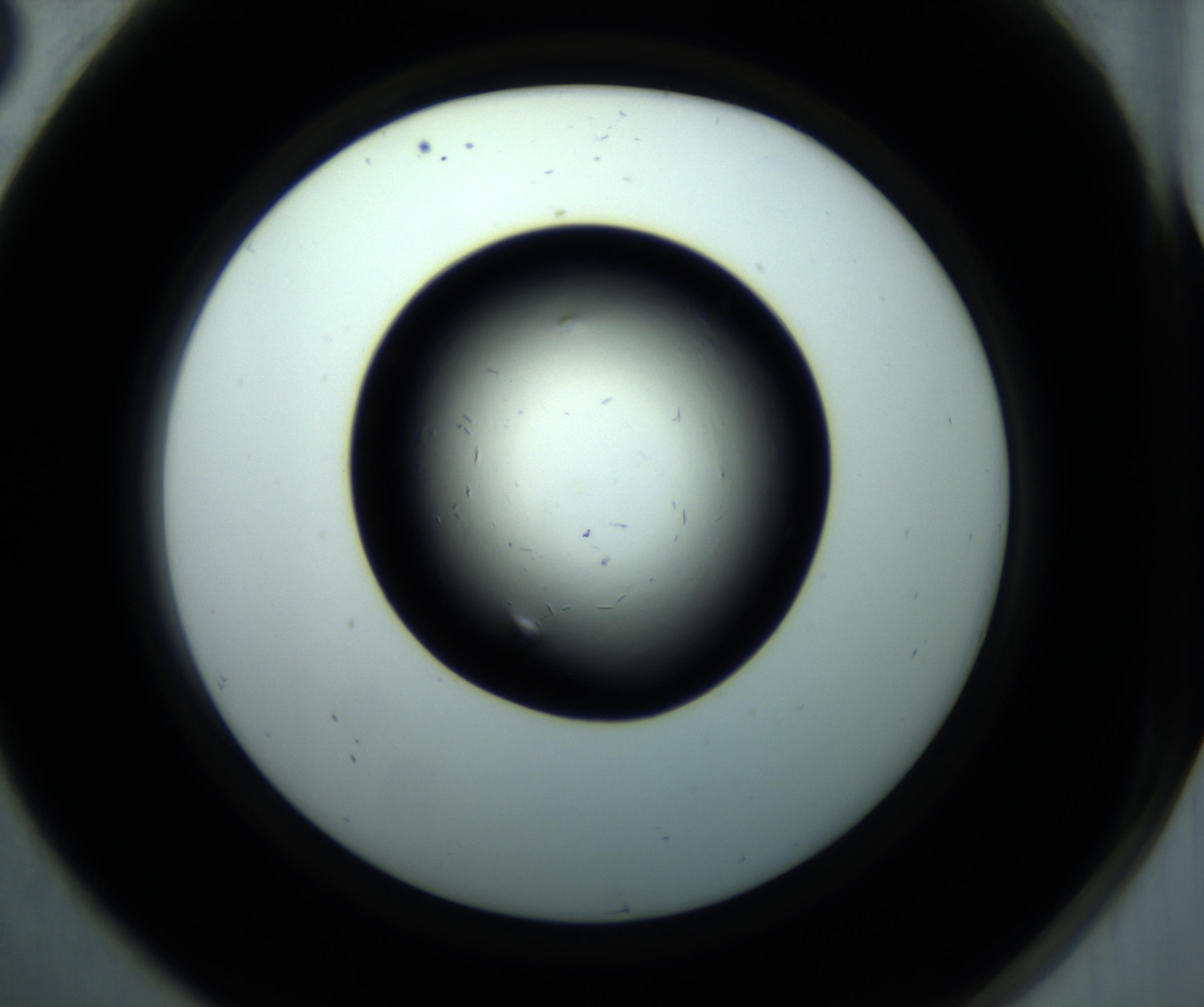 RI01_03_000_0212_Proj1_Clon1_MC_0000MC102892_001_161024_08_07_02_00_98_002_001_RAI.jpg