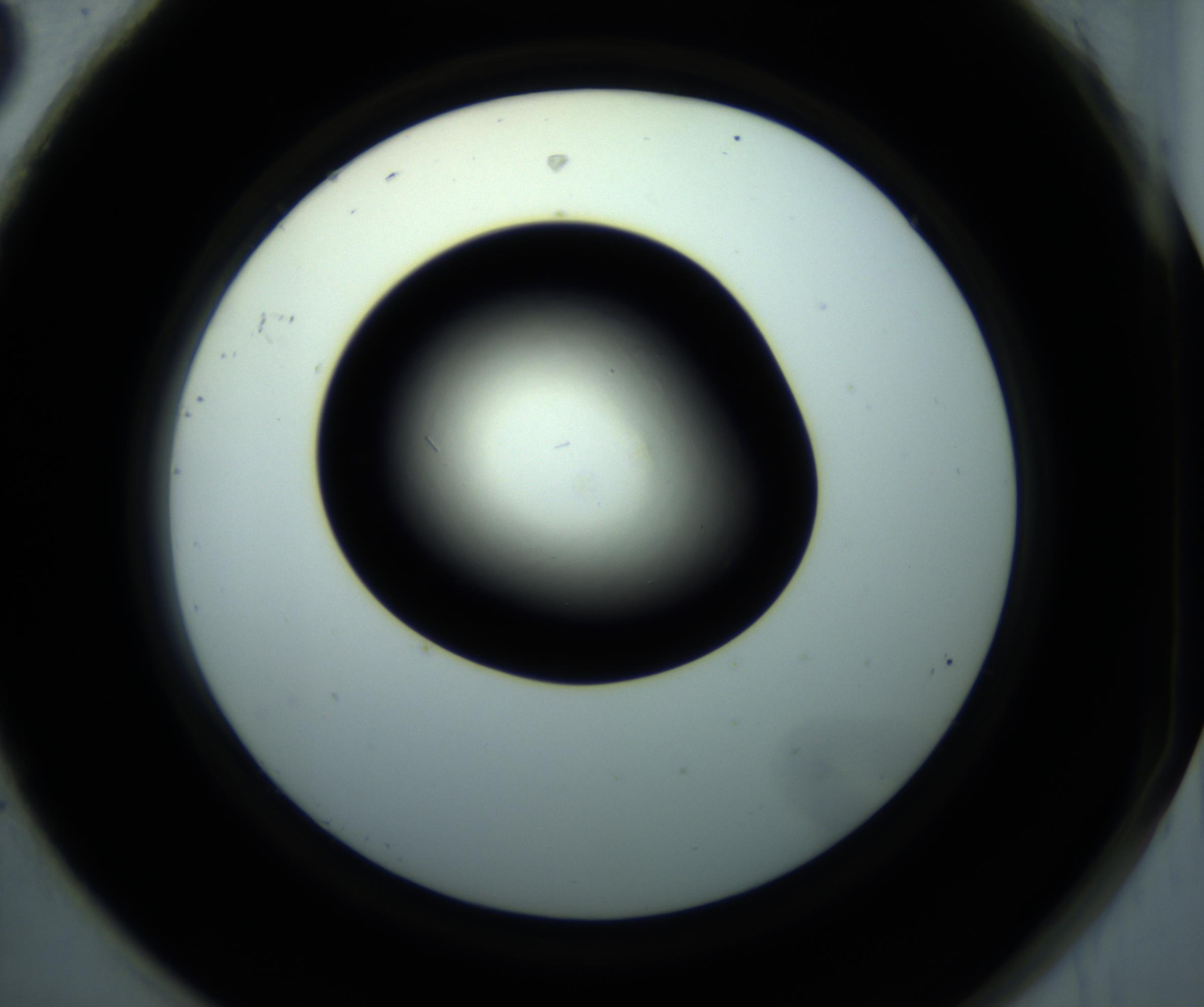 RI01_03_000_0212_Proj1_Clon1_MC_0000MC102892_001_161024_08_08_02_00_98_002_001_RAI.jpg