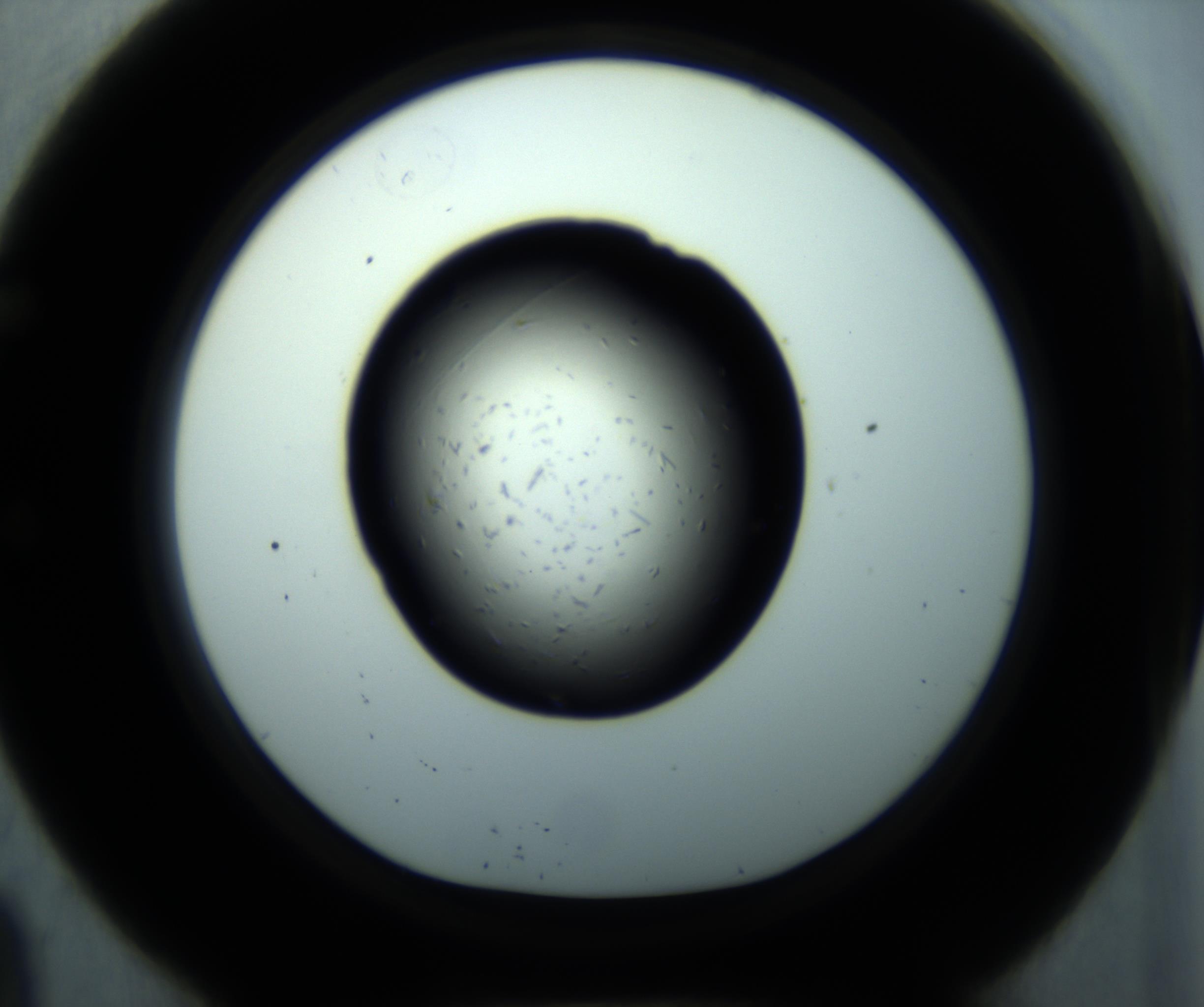 RI01_03_000_0212_Proj1_Clon1_MC_0000MC102892_001_161024_09_05_01_00_98_002_001_RAI.jpg