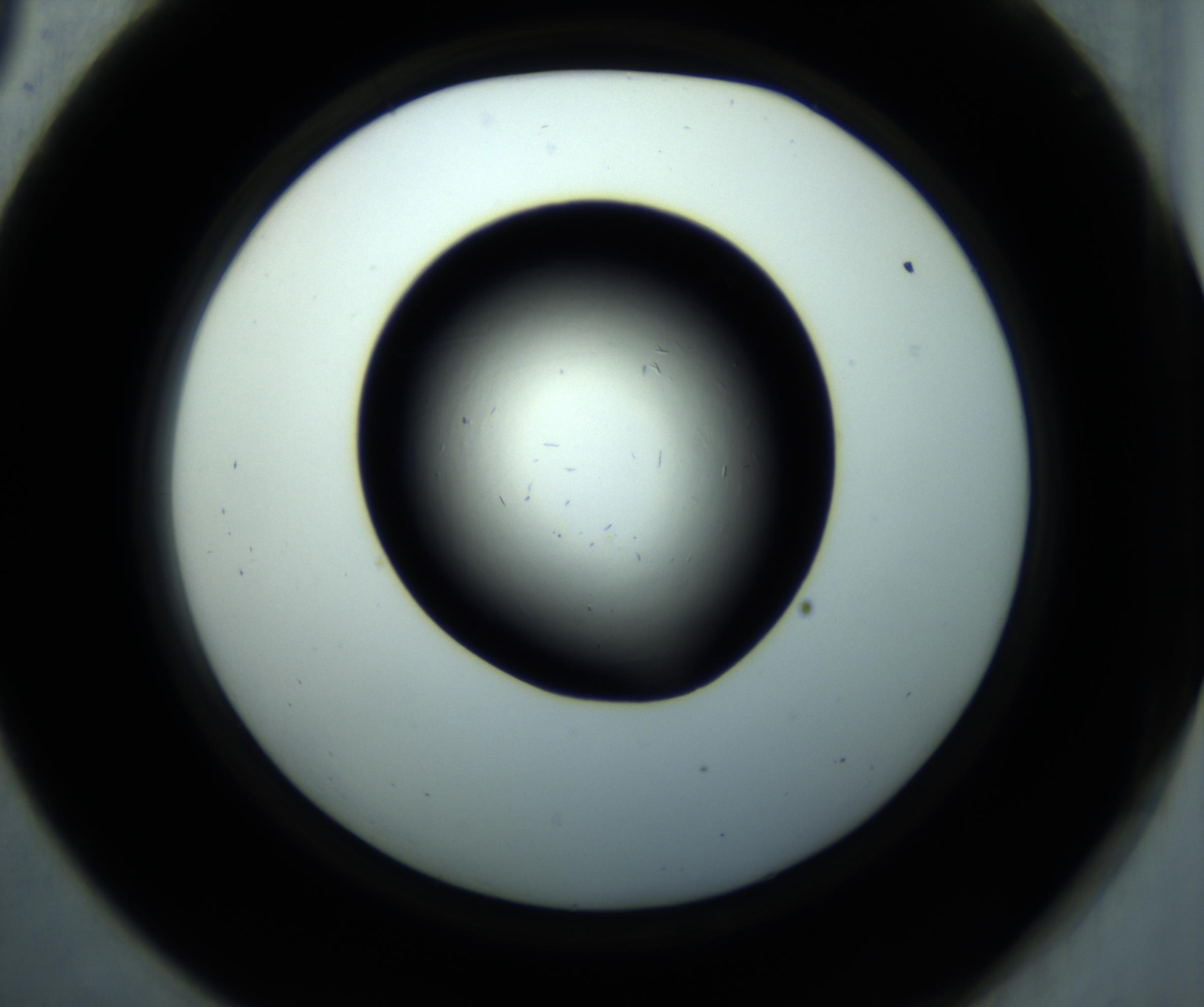 RI01_03_000_0212_Proj1_Clon1_MC_0000MC102892_001_161024_09_05_02_00_98_002_001_RAI.jpg