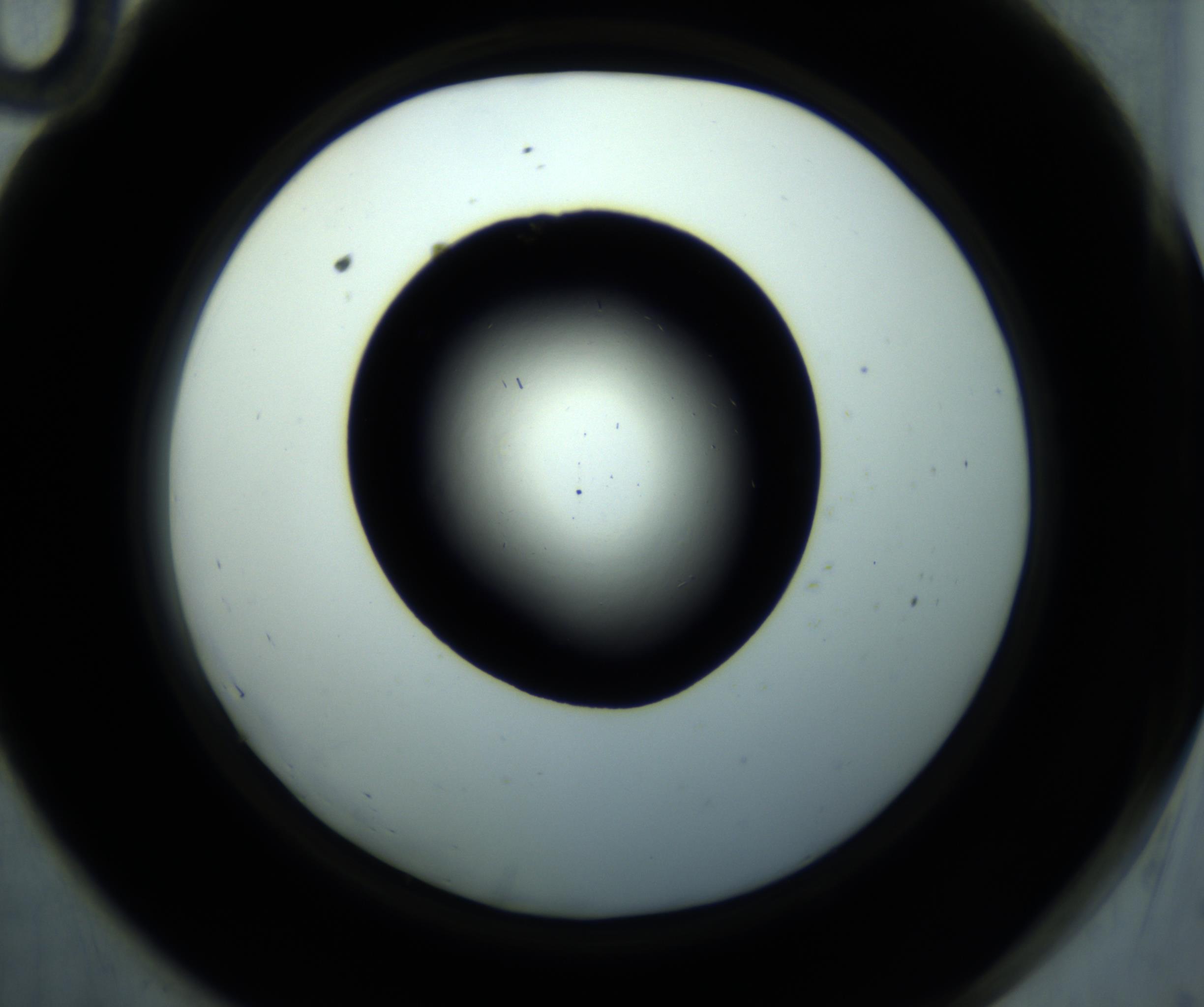 RI01_03_000_0212_Proj1_Clon1_MC_0000MC102892_001_161024_10_05_02_00_98_002_001_RAI.jpg