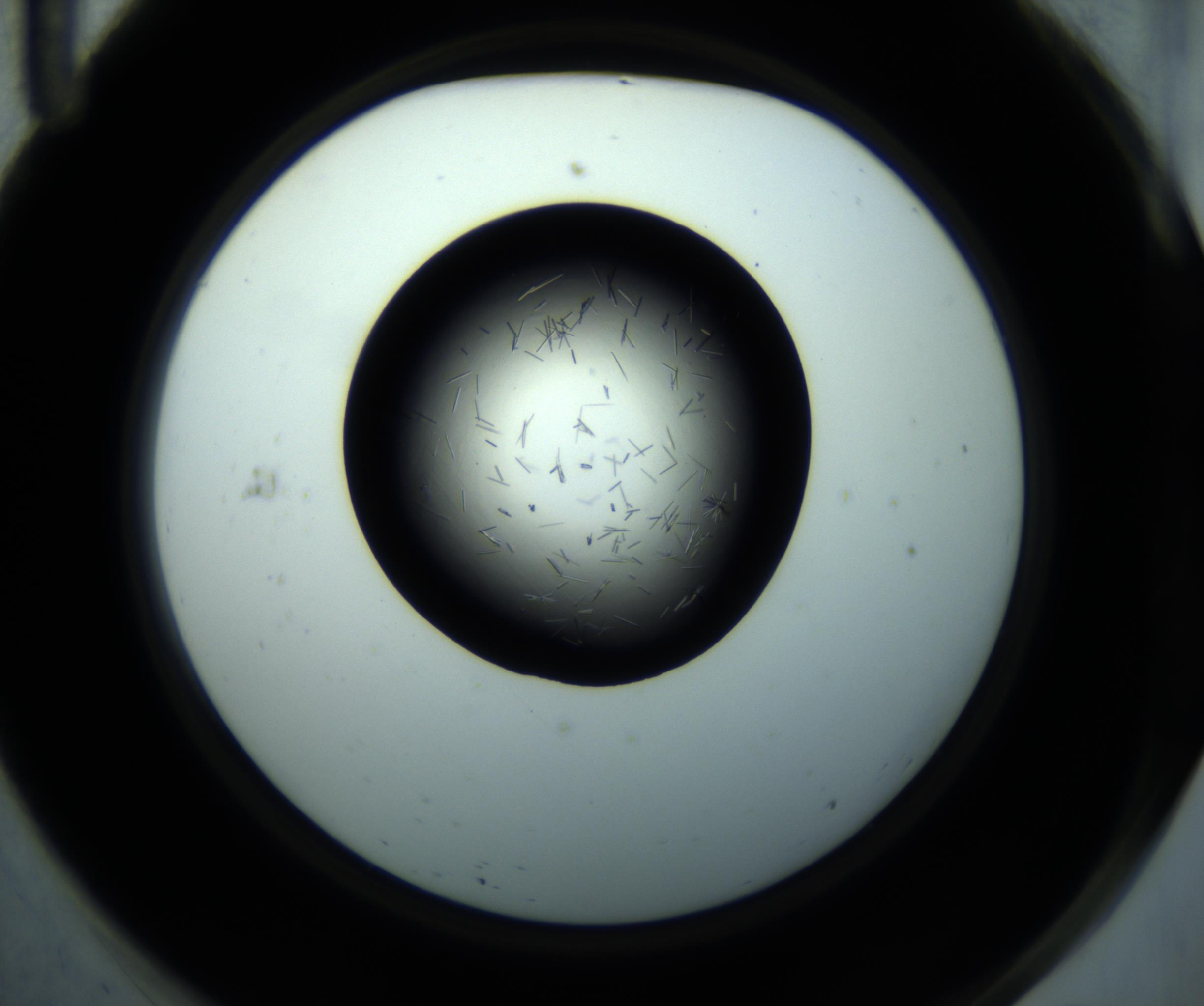 RI01_03_000_0212_Proj1_Clon1_MC_0000MC102892_001_161024_11_06_02_00_98_002_001_RAI.jpg
