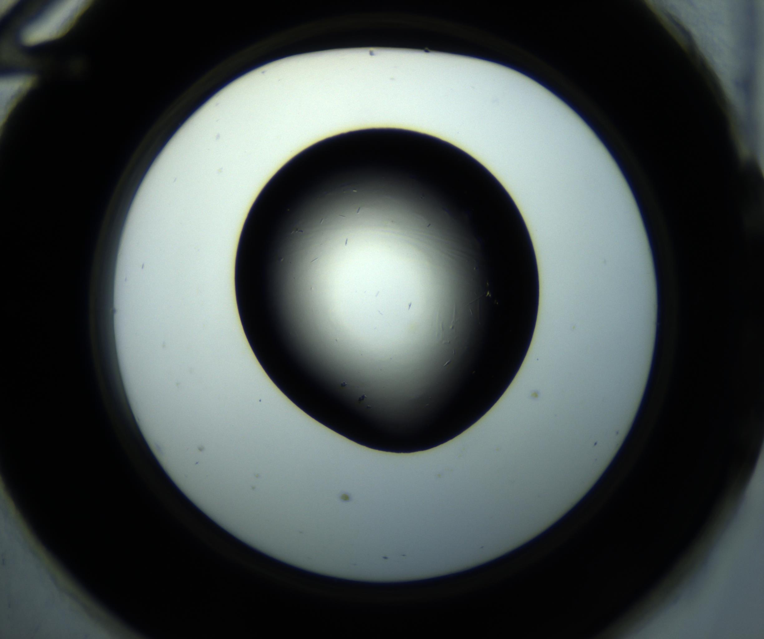 RI01_03_000_0212_Proj1_Clon1_MC_0000MC102892_001_161024_12_05_02_00_98_002_001_RAI.jpg