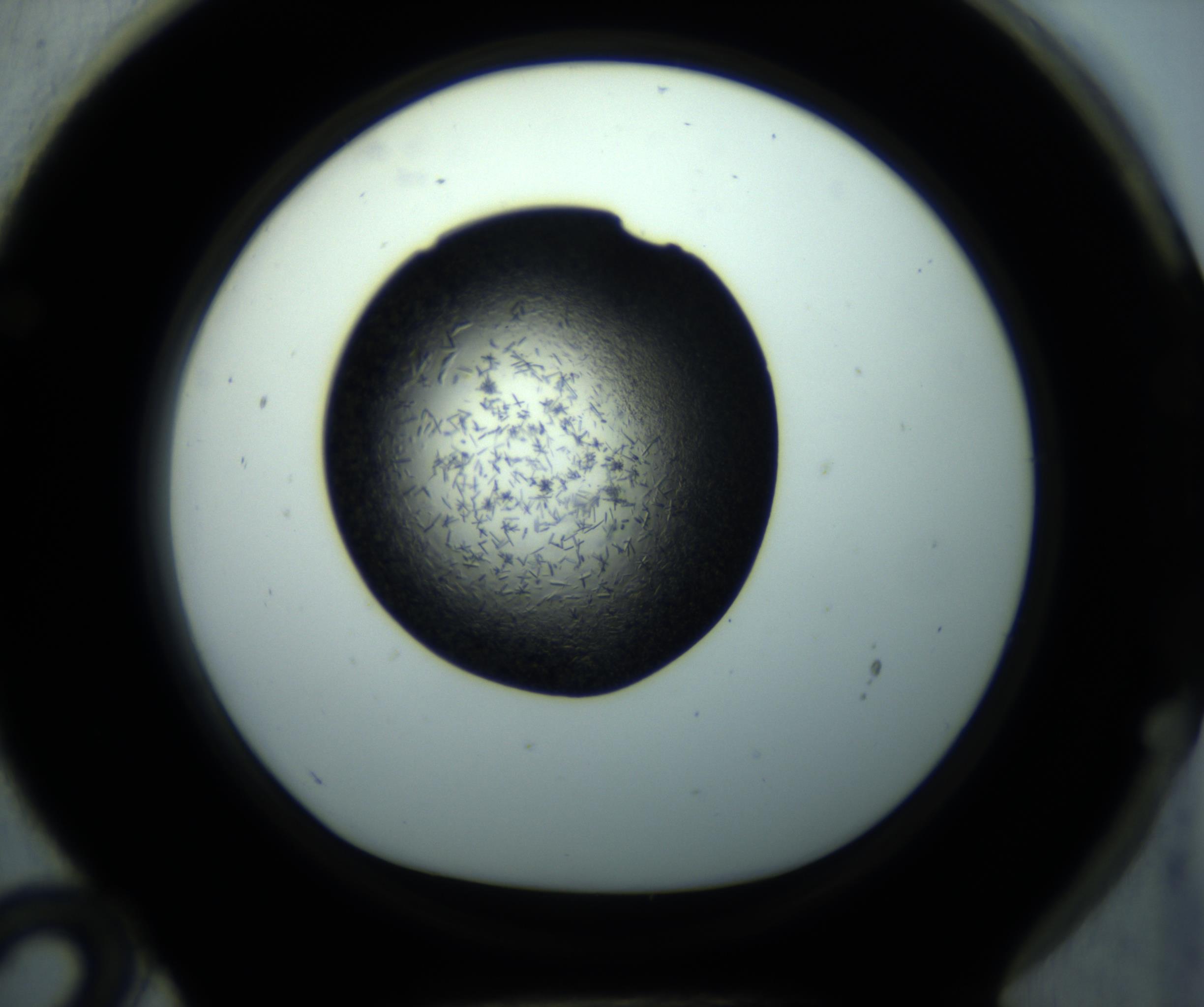 RI01_03_000_0212_Proj1_Clon1_MC_0000MC102892_001_161024_12_06_01_00_98_002_001_RAI.jpg