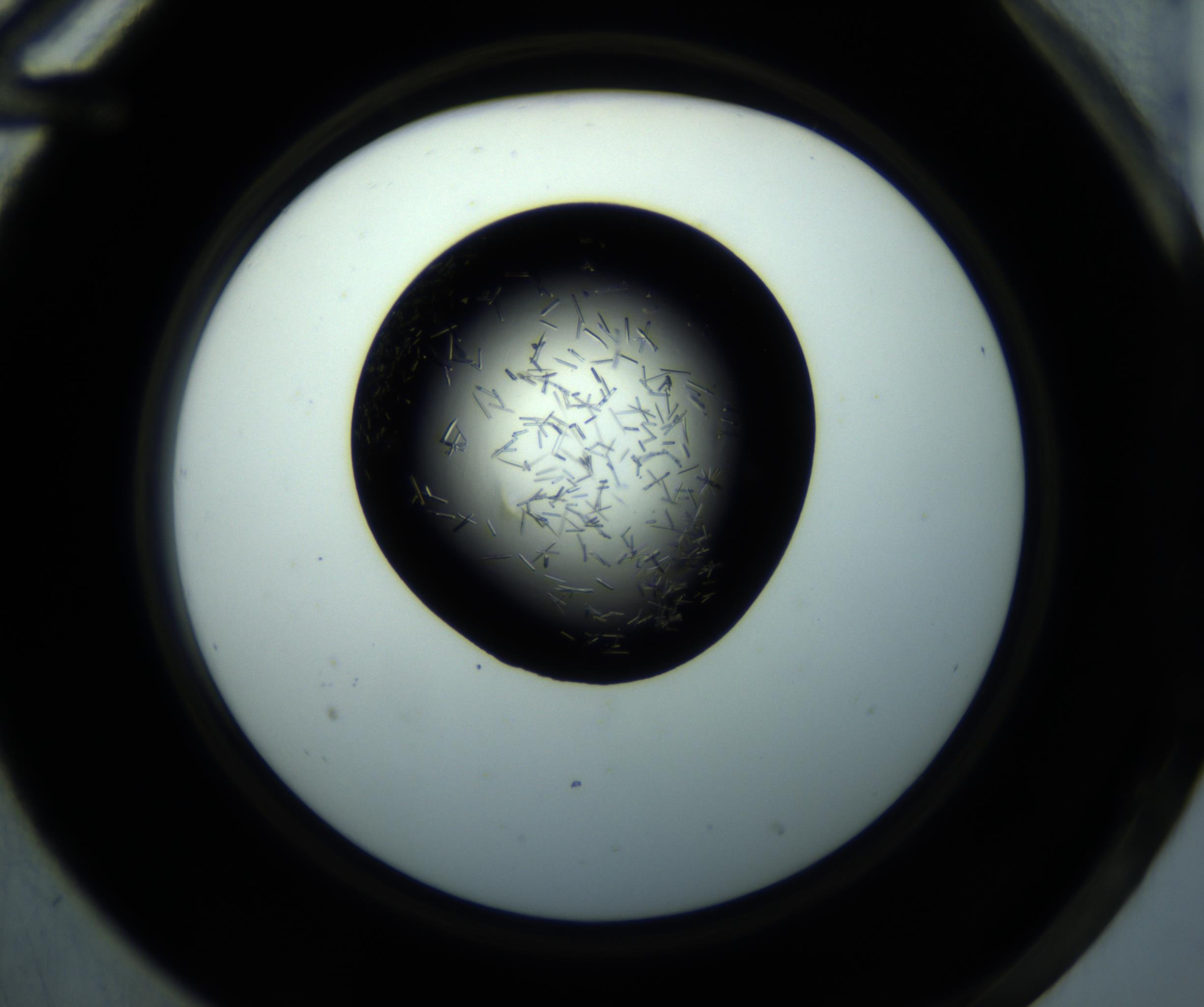 RI01_03_000_0212_Proj1_Clon1_MC_0000MC102892_001_161024_12_06_02_00_98_002_001_RAI.jpg