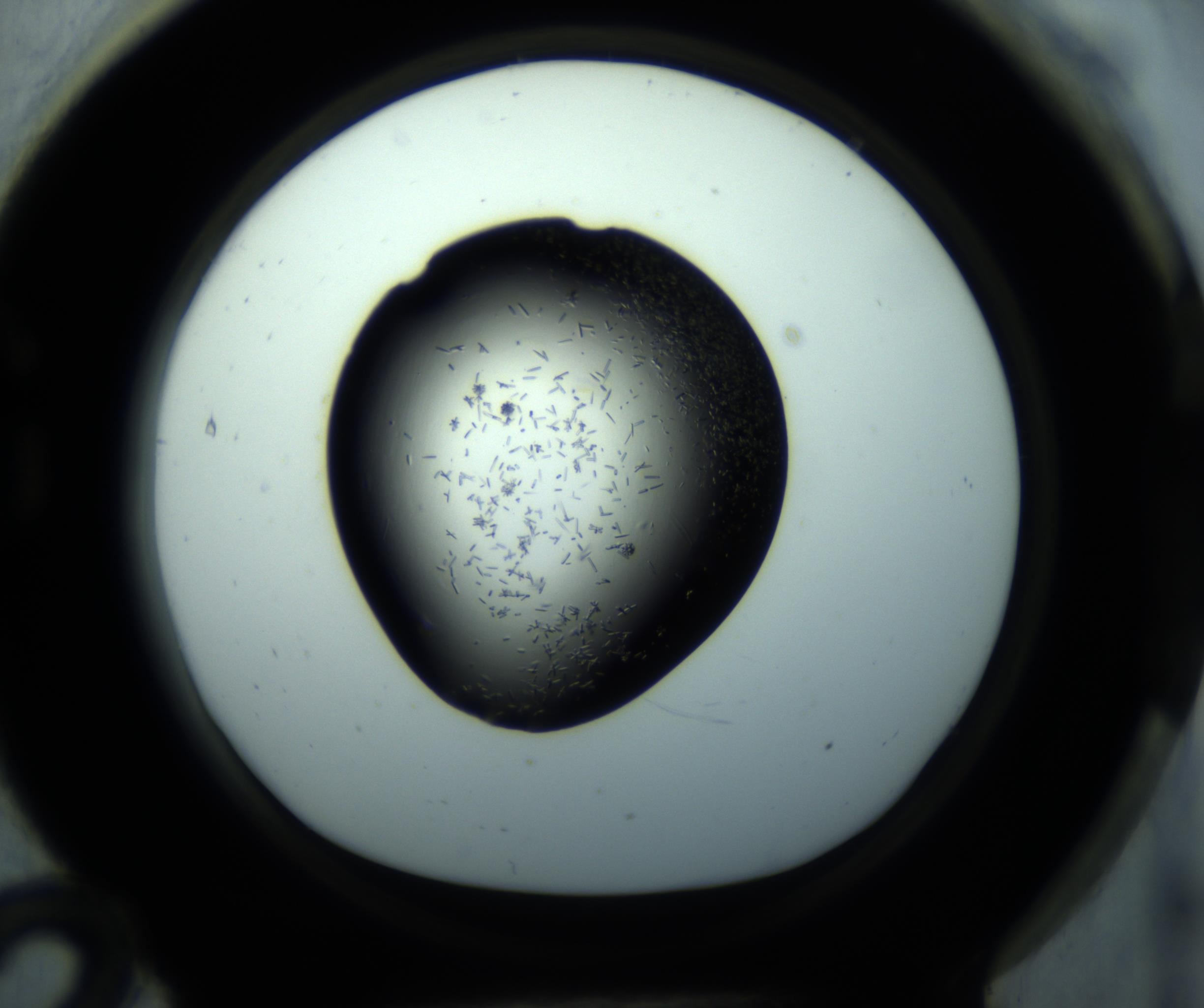 RI01_03_000_0212_Proj1_Clon1_MC_0000MC102892_001_161024_12_07_01_00_98_002_001_RAI.jpg