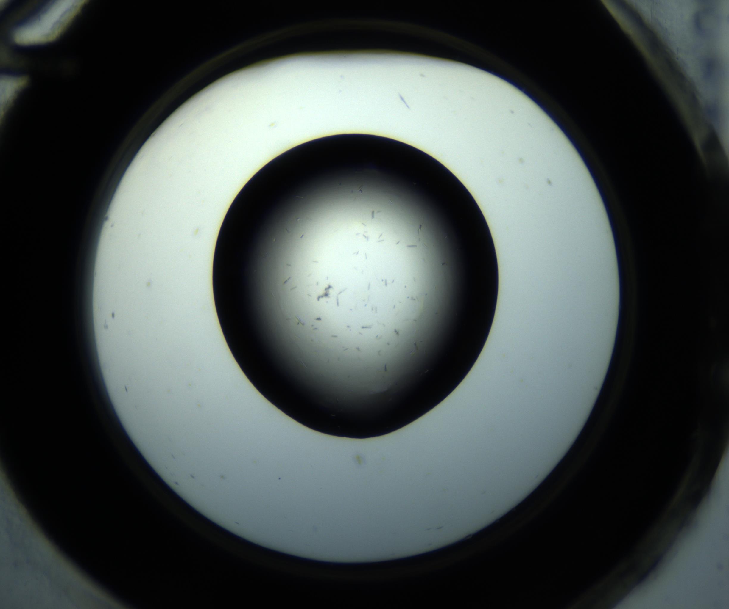 RI01_03_000_0212_Proj1_Clon1_MC_0000MC102892_001_161024_12_07_02_00_98_002_001_RAI.jpg