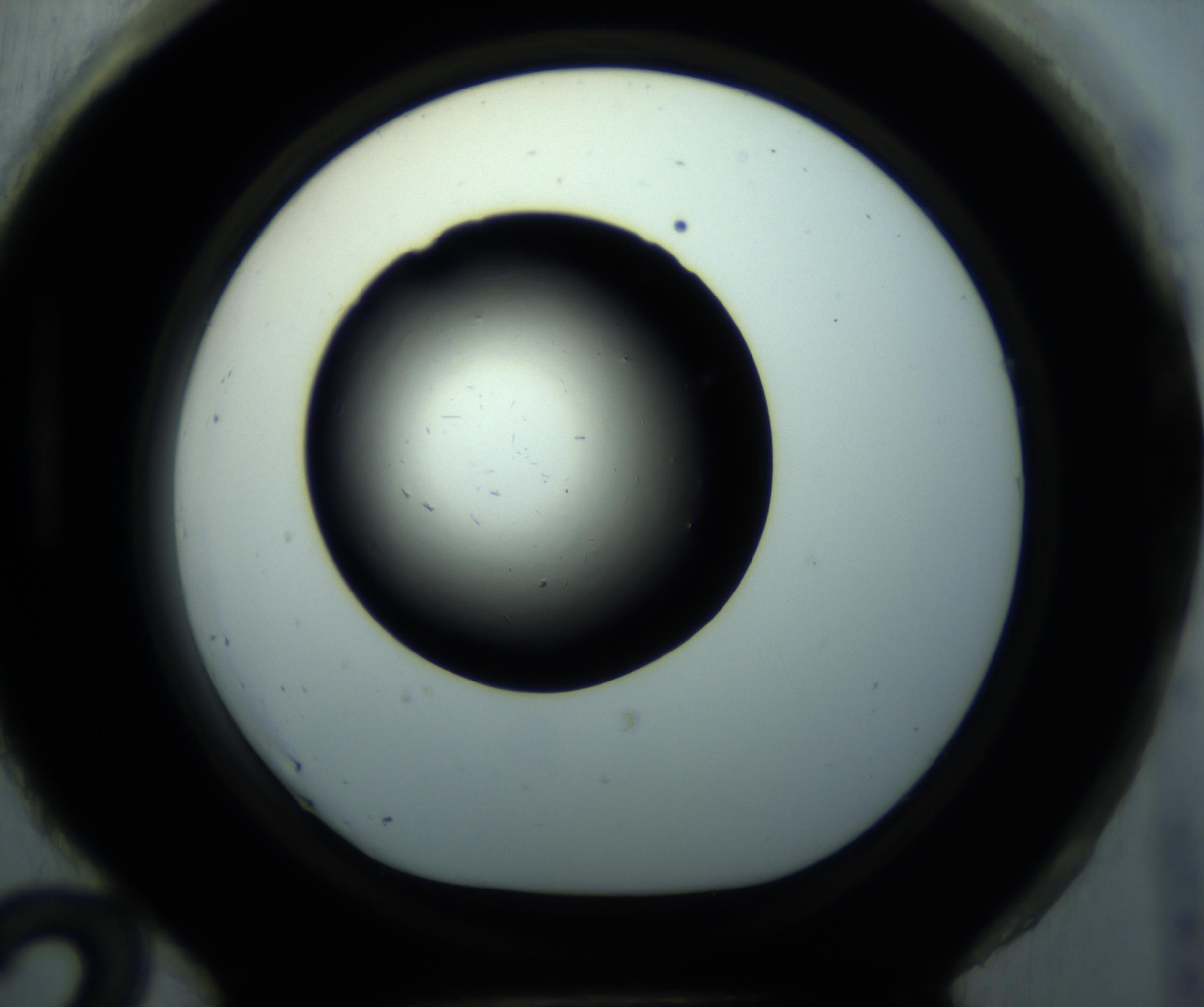 RI01_03_000_0212_Proj1_Clon1_MC_0000MC102892_001_161024_12_08_01_00_98_002_001_RAI.jpg