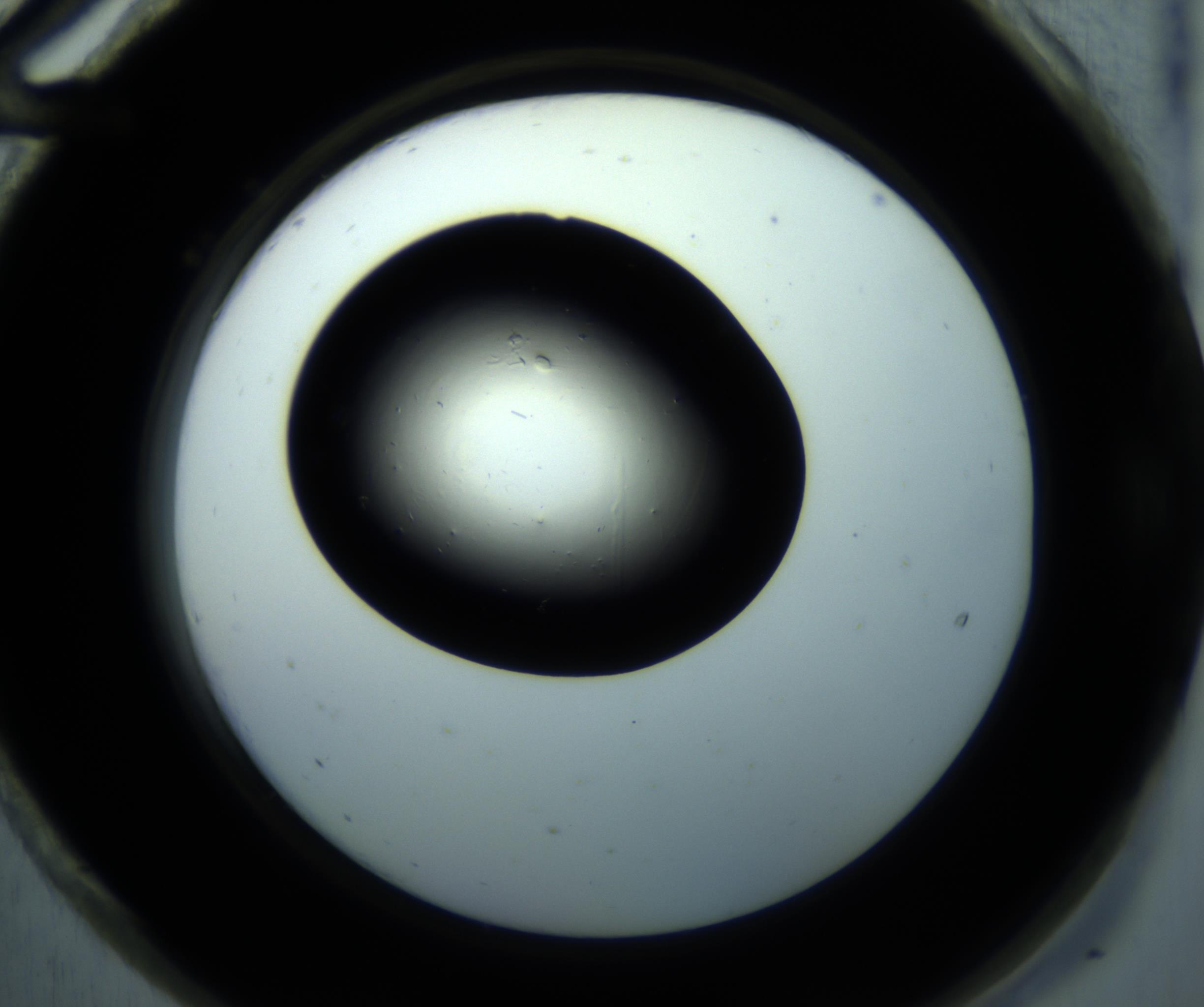 RI01_03_000_0212_Proj1_Clon1_MC_0000MC102892_001_161024_12_08_02_00_98_002_001_RAI.jpg