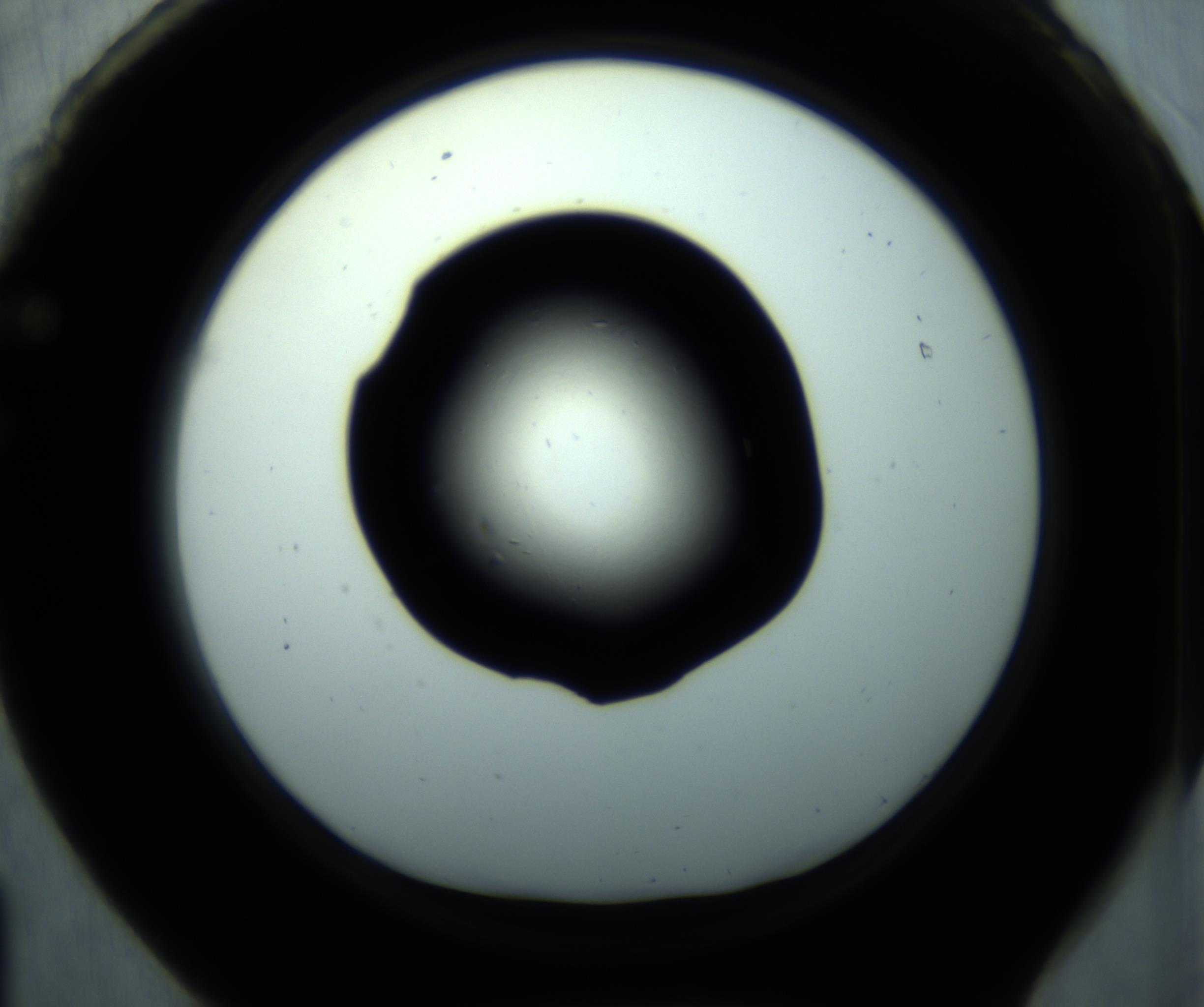 RI01_03_000_0212_Proj1_Clon1_MC_0000MC102893_001_161024_01_06_01_00_98_002_001_RAI.jpg