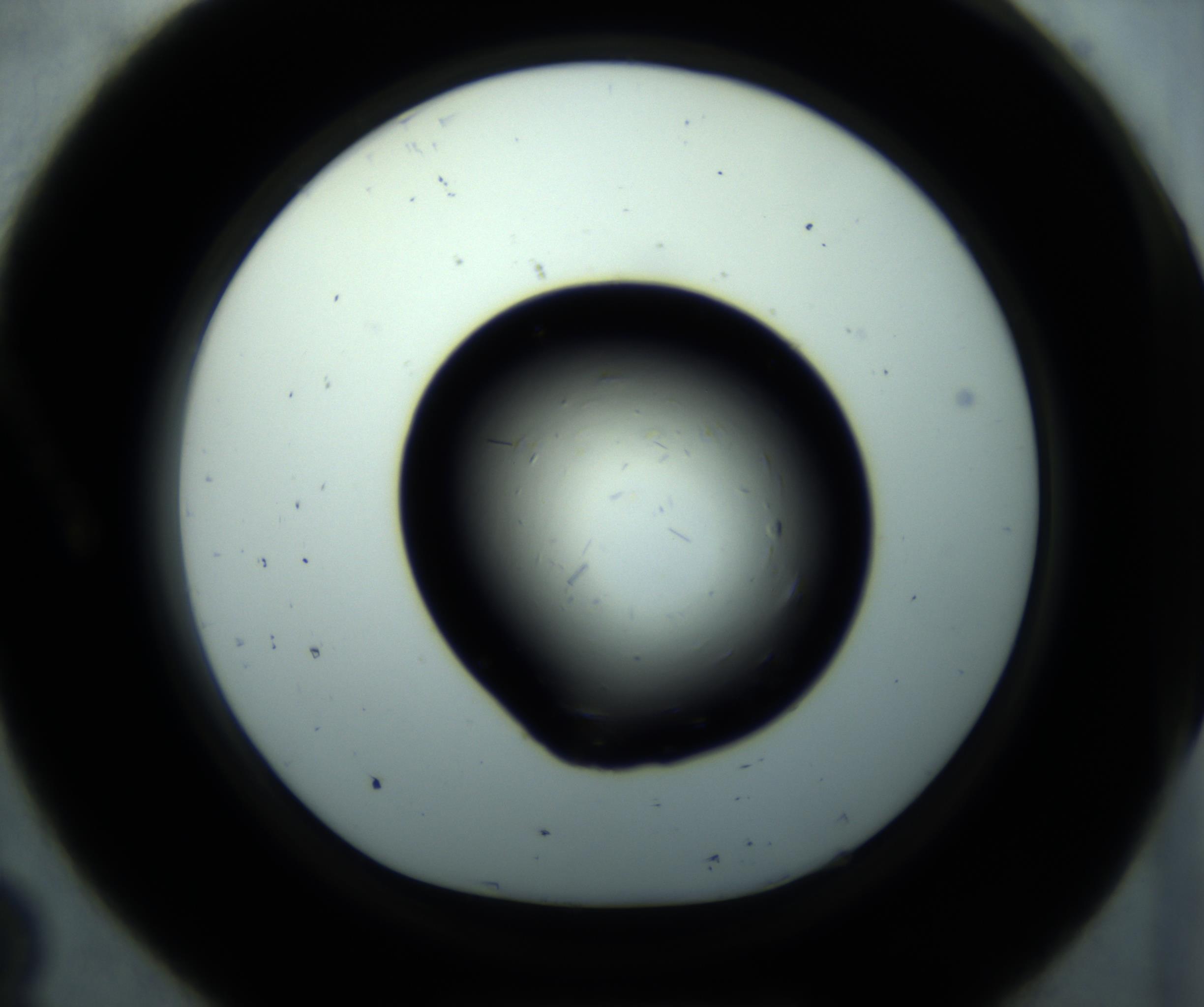 RI01_03_000_0212_Proj1_Clon1_MC_0000MC102893_001_161024_08_01_01_00_98_002_001_RAI.jpg