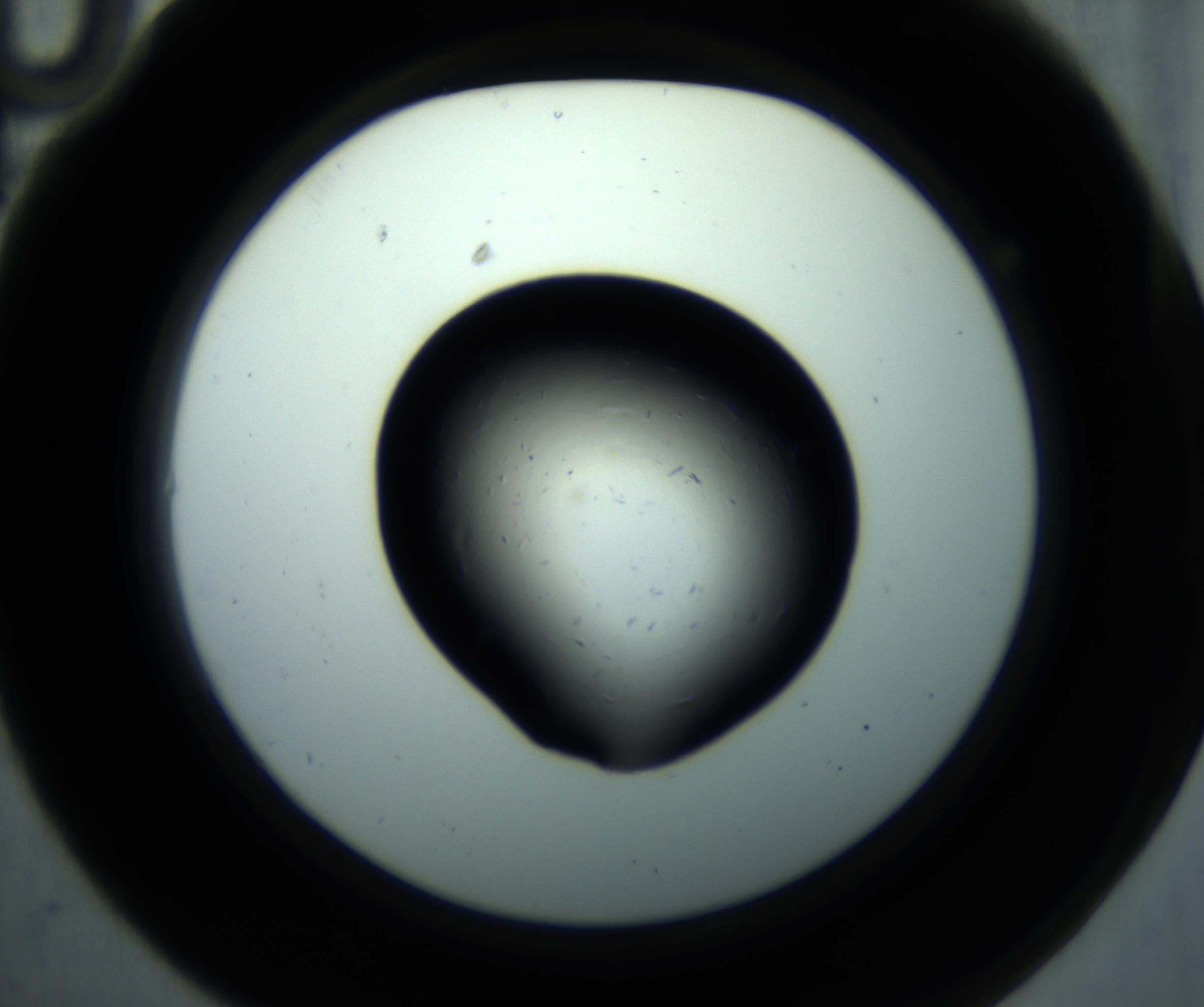 RI01_03_000_0212_Proj1_Clon1_MC_0000MC102893_001_161024_10_01_02_00_98_002_001_RAI.jpg