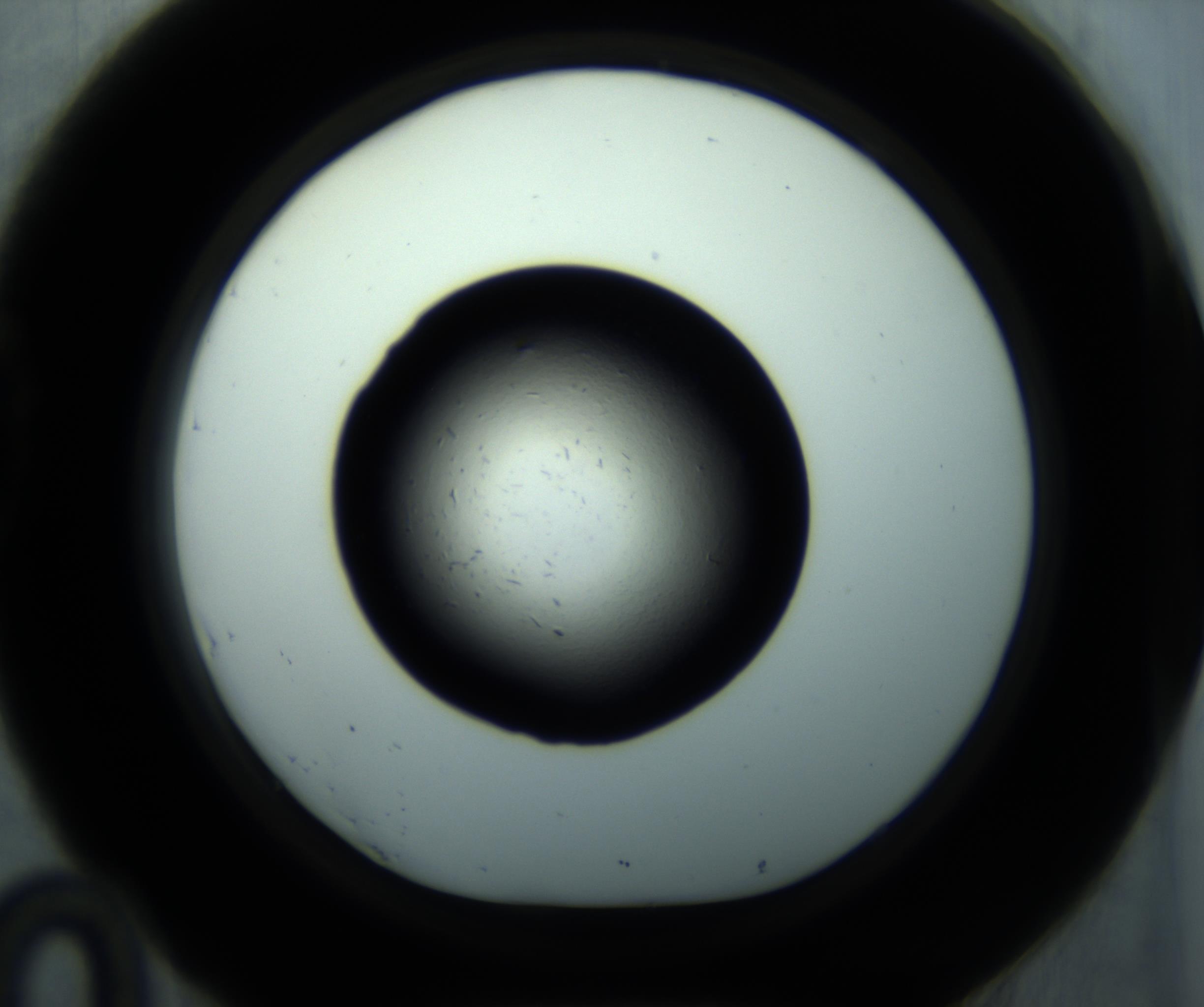 RI01_03_000_0212_Proj1_Clon1_MC_0000MC102893_001_161024_10_04_01_00_98_002_001_RAI.jpg
