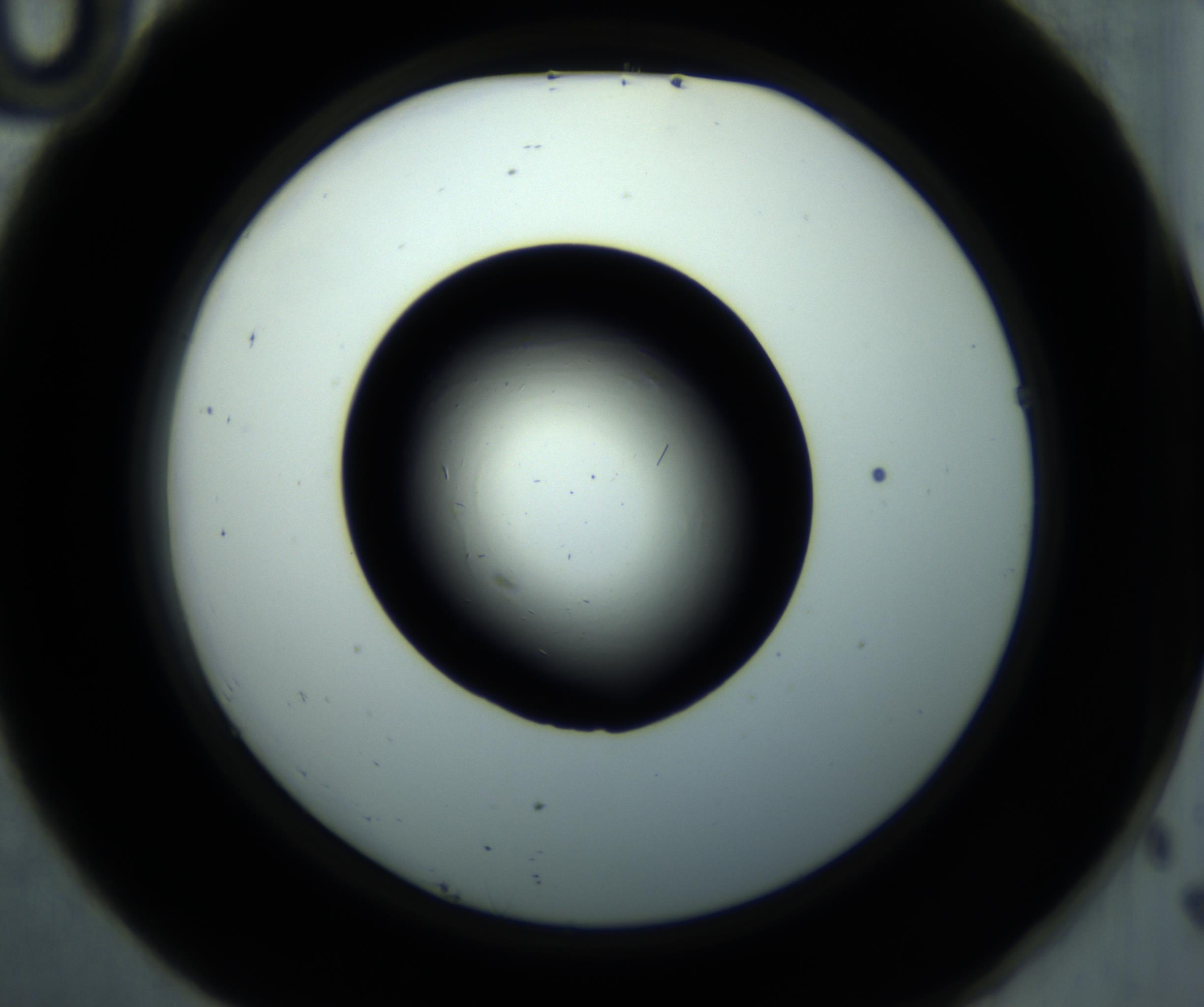 RI01_03_000_0212_Proj1_Clon1_MC_0000MC102893_001_161024_10_04_02_00_98_002_001_RAI.jpg