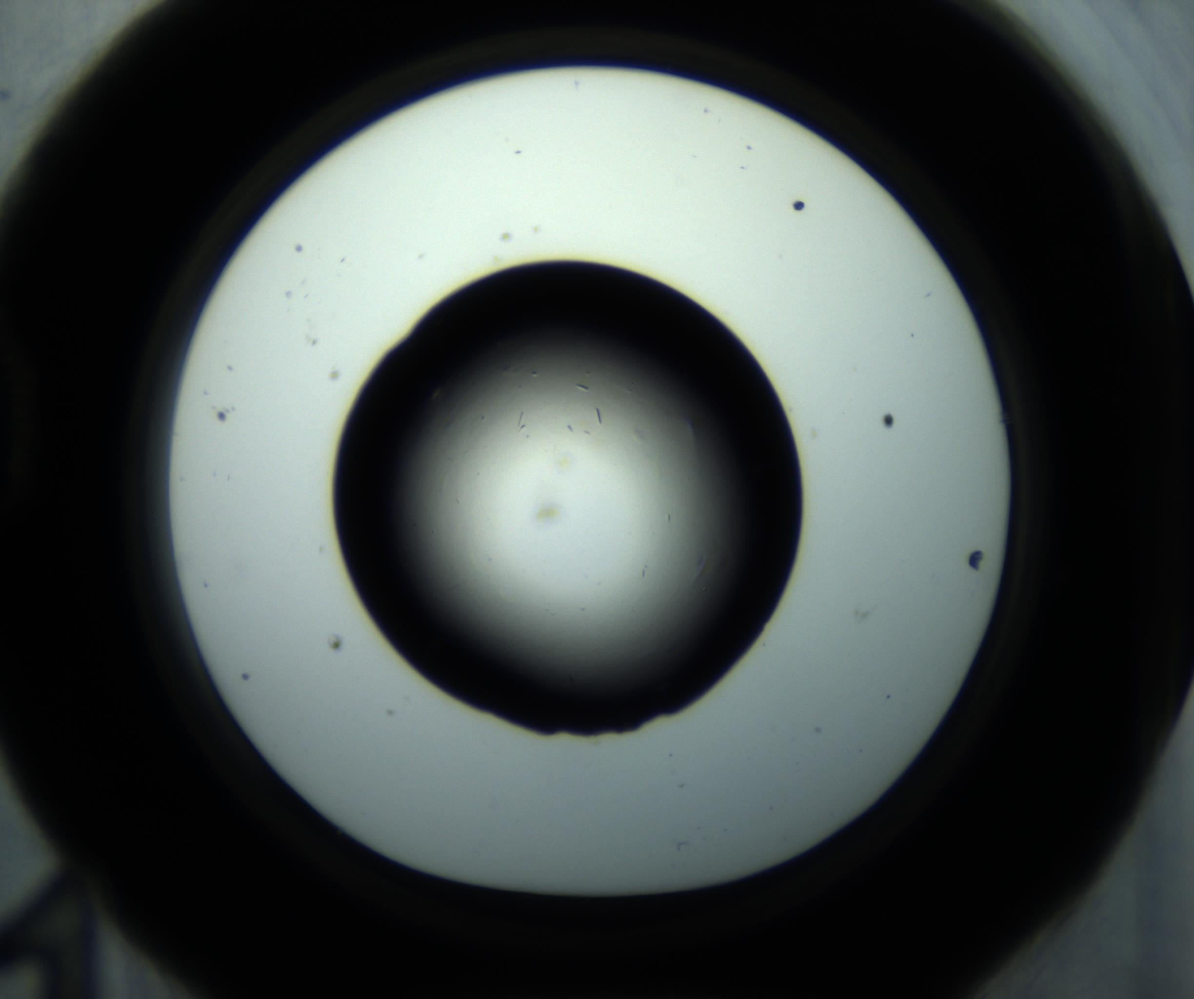RI01_03_000_0212_Proj1_Clon1_MC_0000MC102893_001_161024_11_04_01_00_98_002_001_RAI.jpg