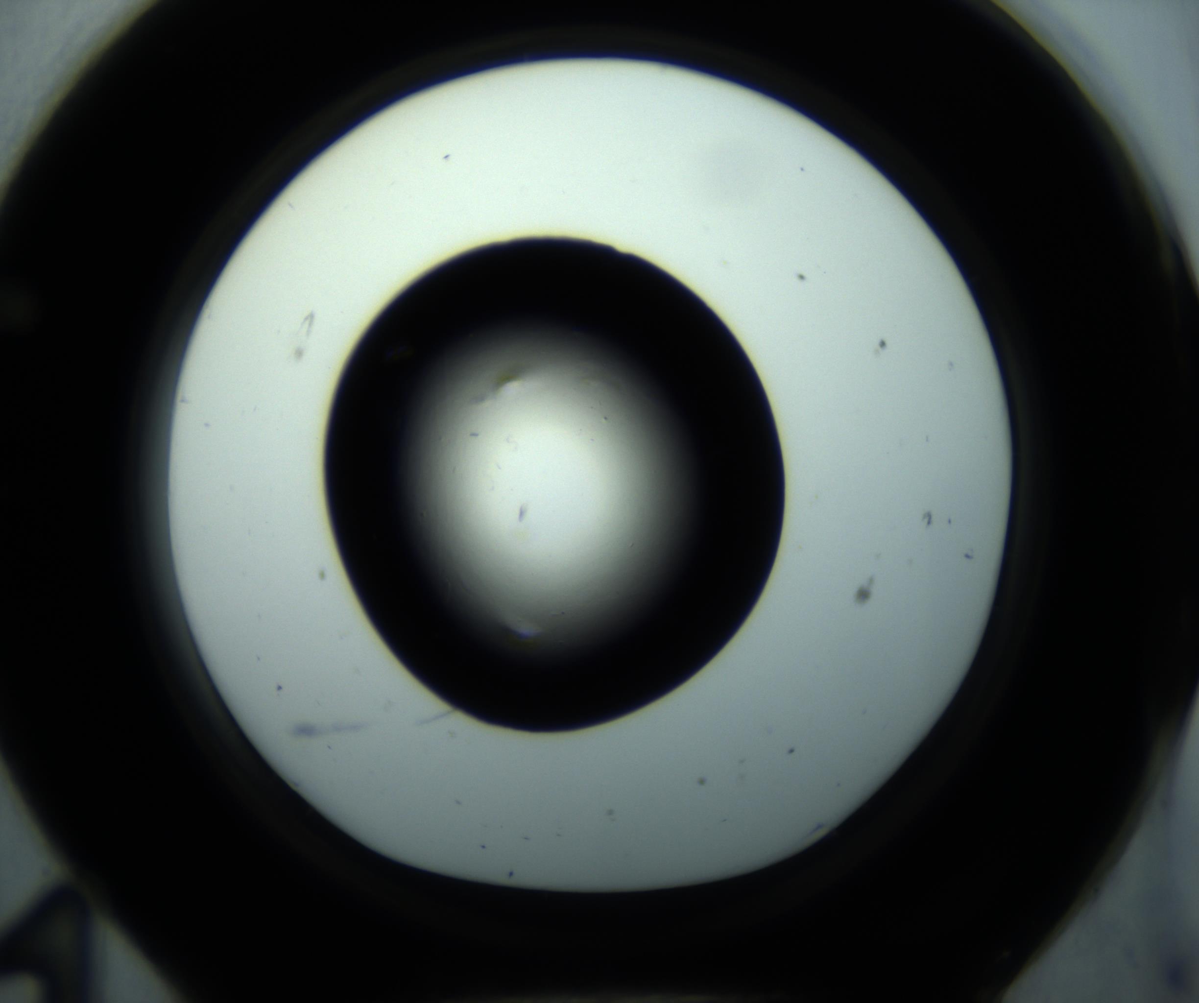 RI01_03_000_0212_Proj1_Clon1_MC_0000MC102893_001_161024_11_06_01_00_98_002_001_RAI.jpg