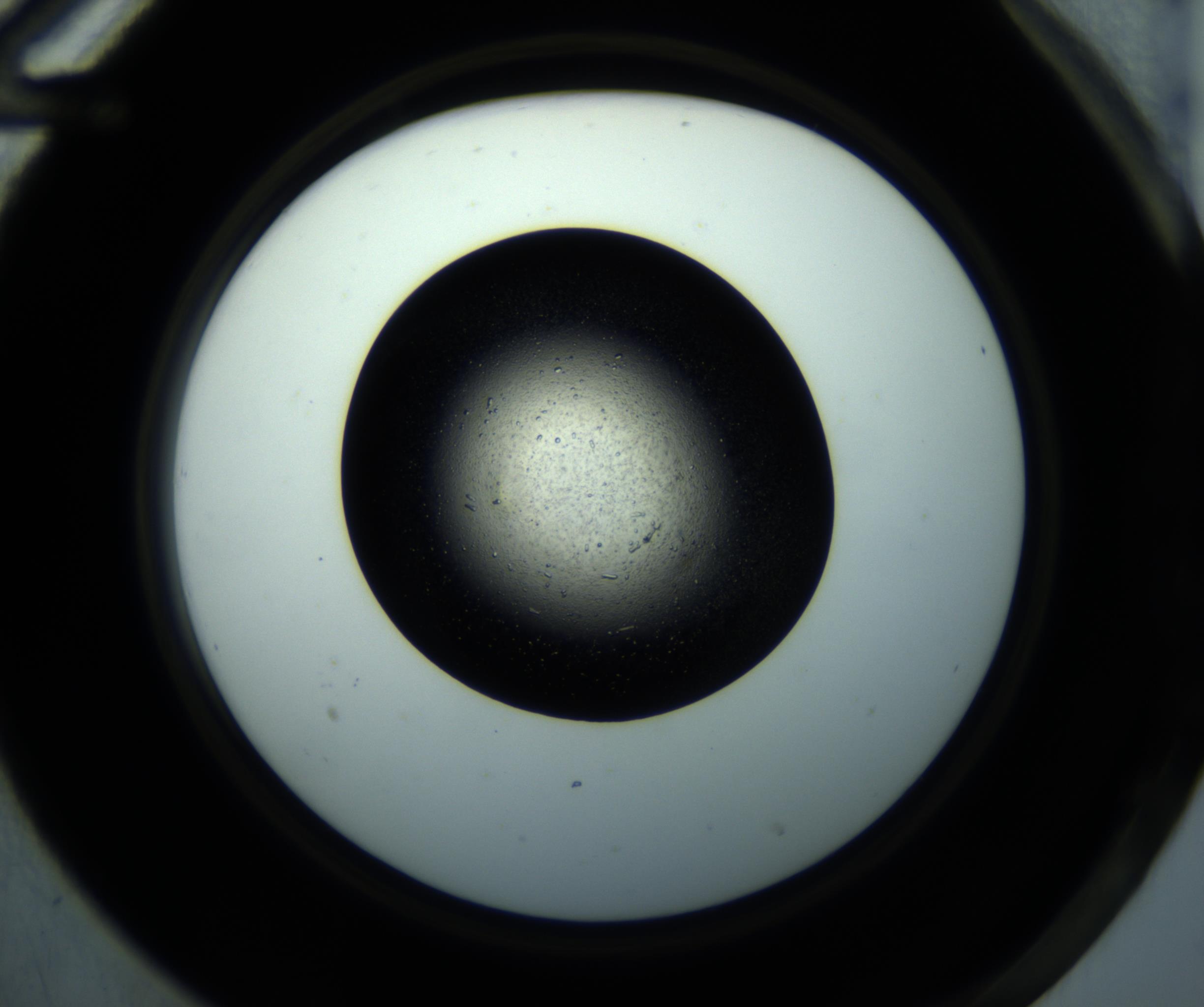 RI01_03_000_0212_Proj1_Clon1_MC_0000MC102893_001_161024_12_06_02_00_98_002_001_RAI.jpg