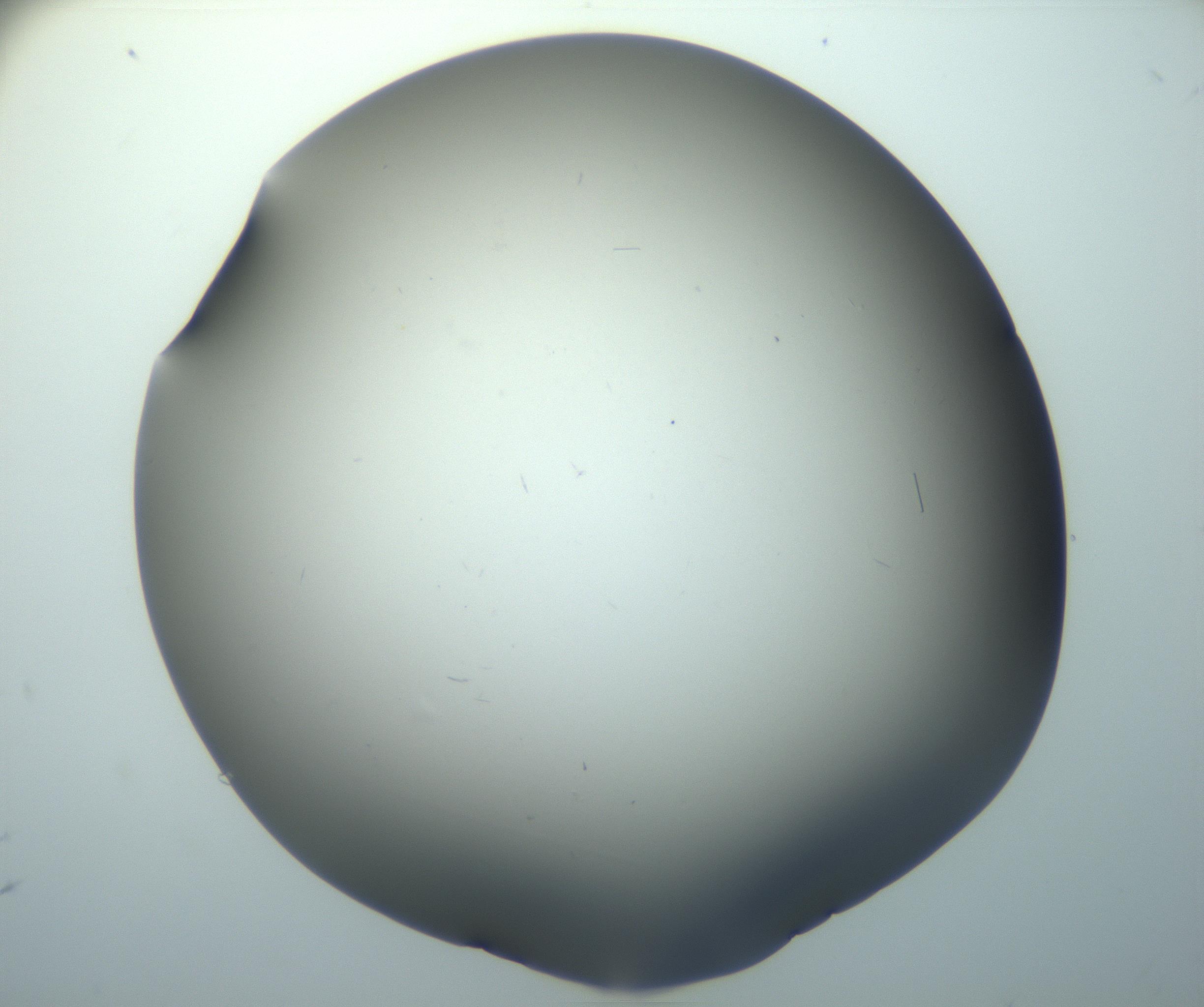 RI01_03_000_0212_Proj1_Clon1_MC_0000MC102893_002_161025_01_06_01_00_99_002_001_RAI.jpg
