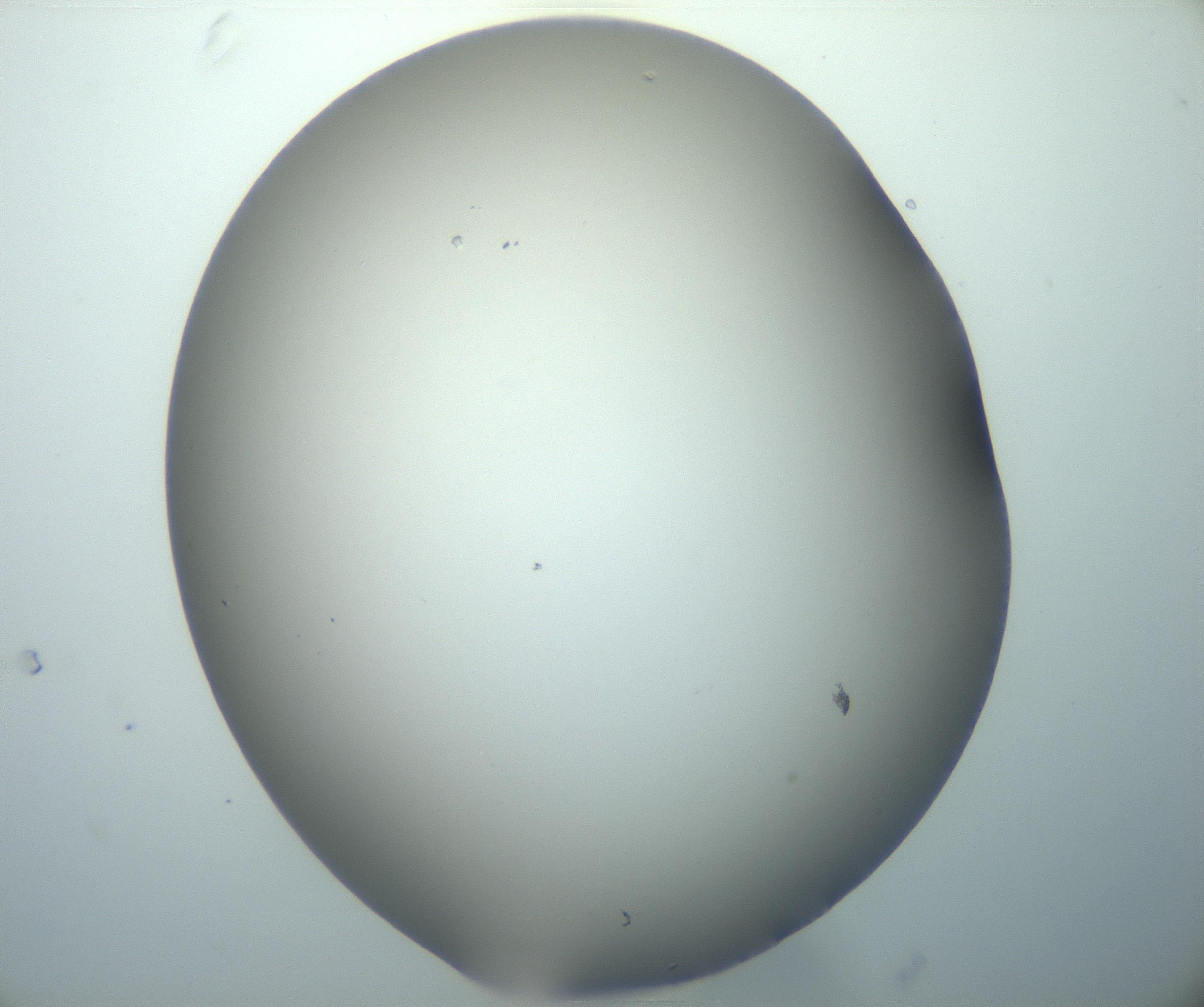 RI01_03_000_0212_Proj1_Clon1_MC_0000MC102893_006_161103_10_02_02_00_99_002_001_RAI.jpg
