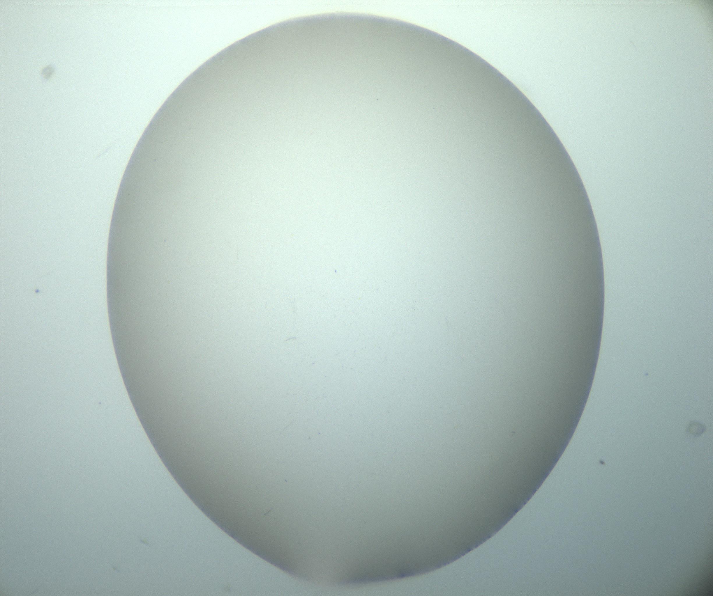 RI01_03_000_0212_Proj1_Clon1_MC_0000MC102893_015_170102_09_02_02_00_99_002_001_RAI.jpg