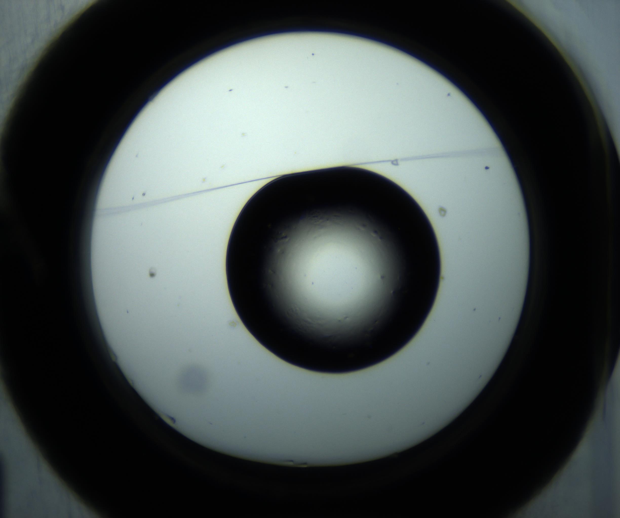 RI01_03_000_0212_Proj1_Clon1_MC_0000MC102897_001_161027_01_01_01_00_98_002_001_RAI.jpg