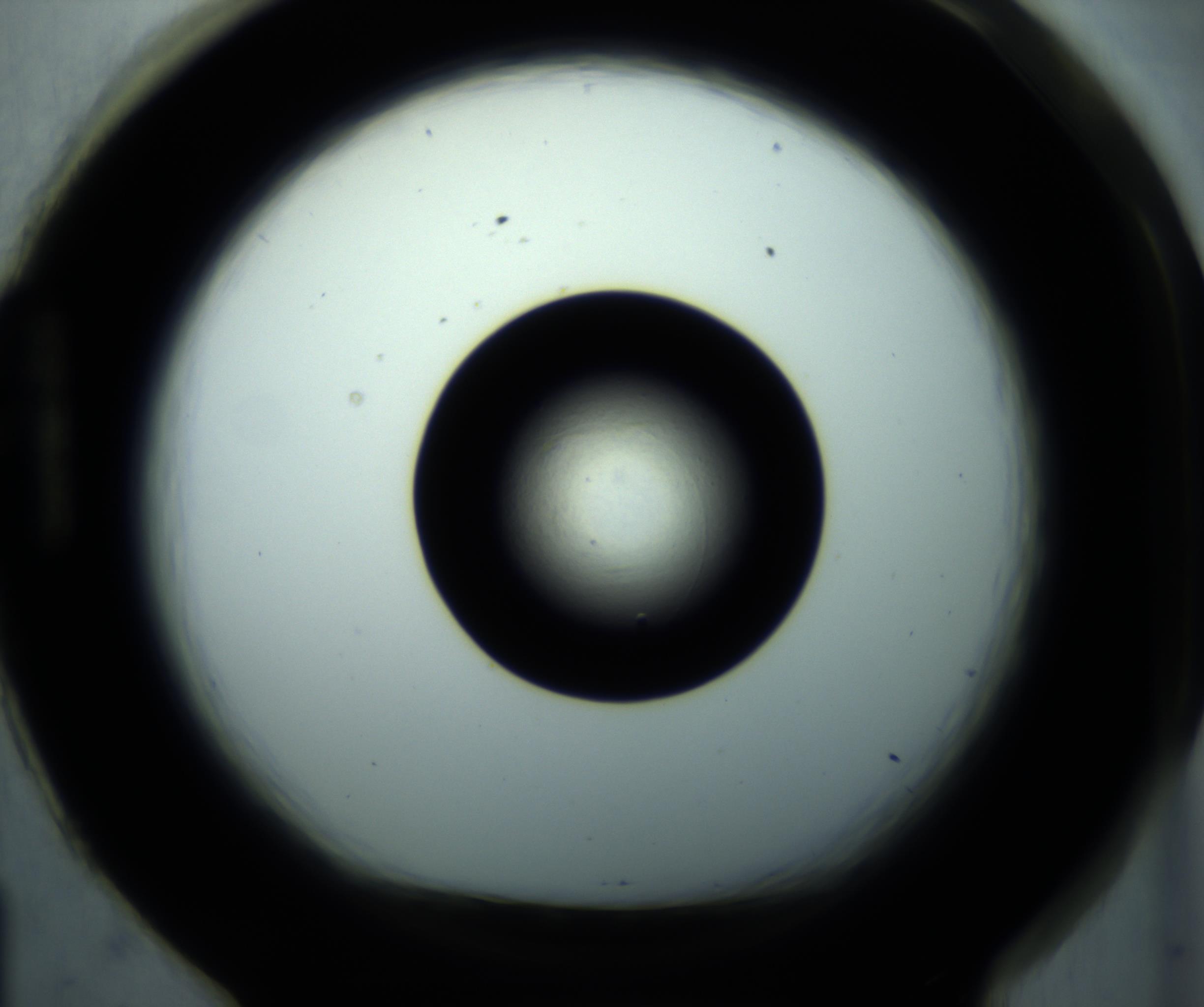 RI01_03_000_0212_Proj1_Clon1_MC_0000MC102897_001_161027_01_08_01_00_98_002_001_RAI.jpg