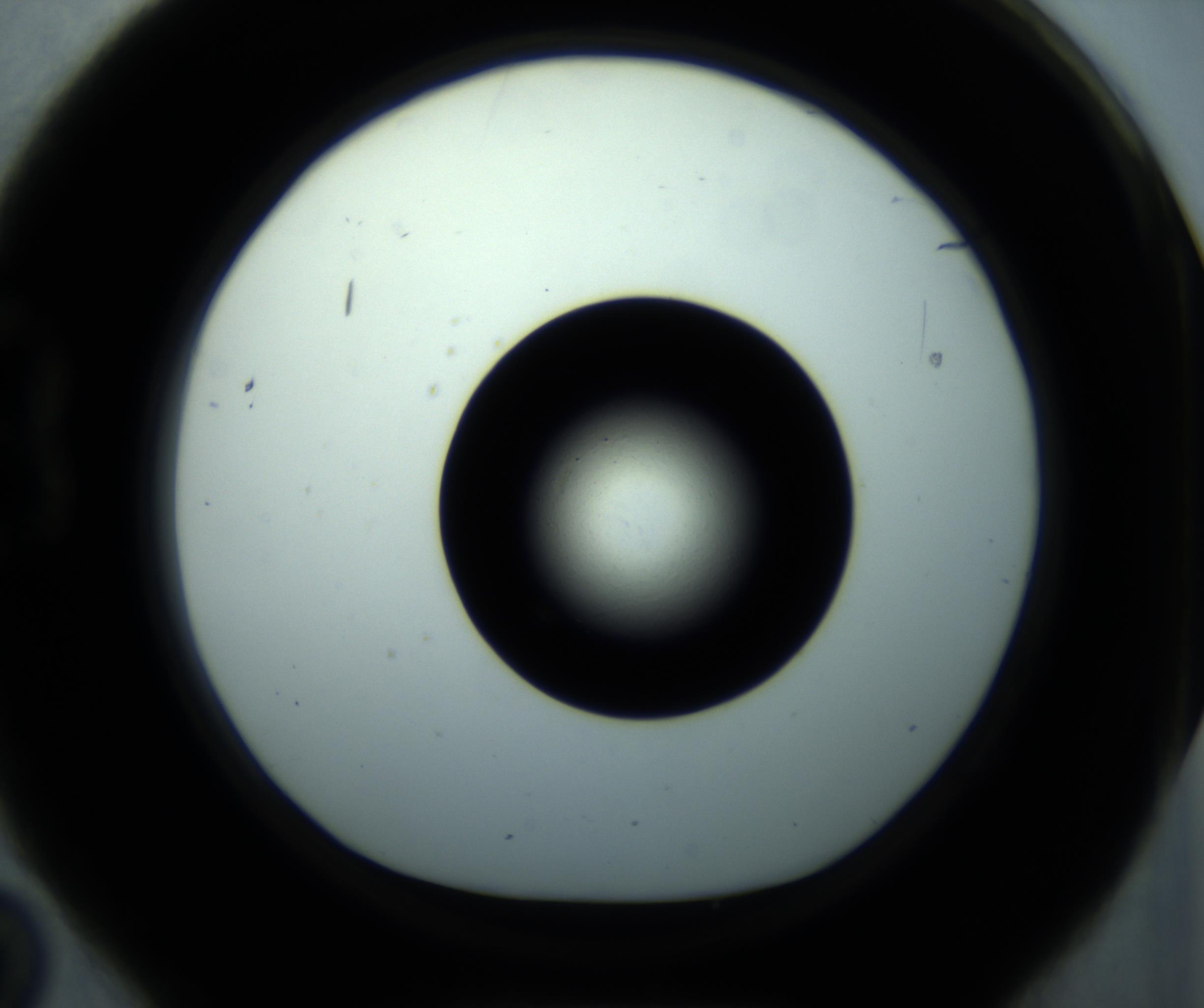 RI01_03_000_0212_Proj1_Clon1_MC_0000MC102897_001_161027_02_02_01_00_98_002_001_RAI.jpg