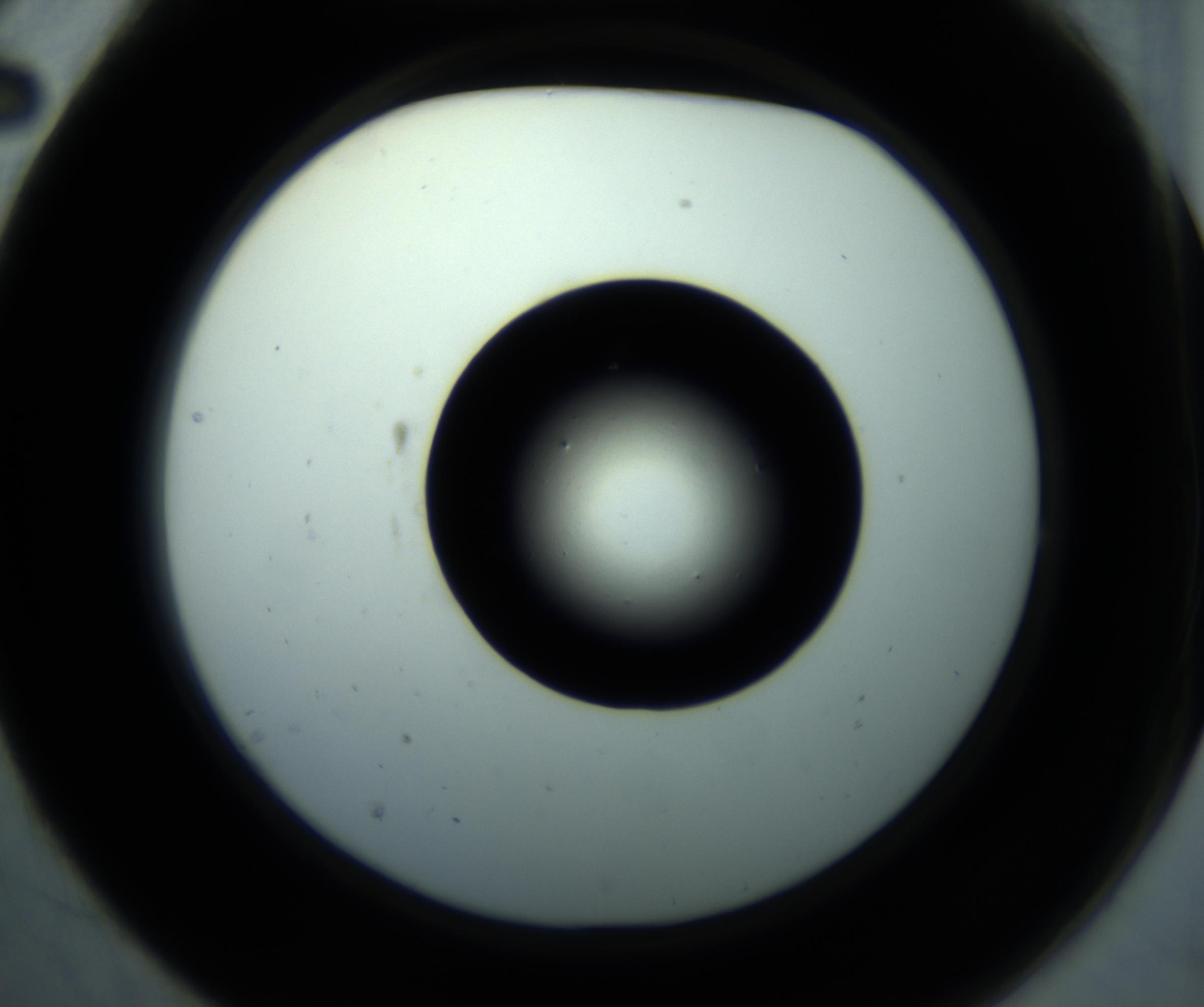 RI01_03_000_0212_Proj1_Clon1_MC_0000MC102897_001_161027_02_02_02_00_98_002_001_RAI.jpg