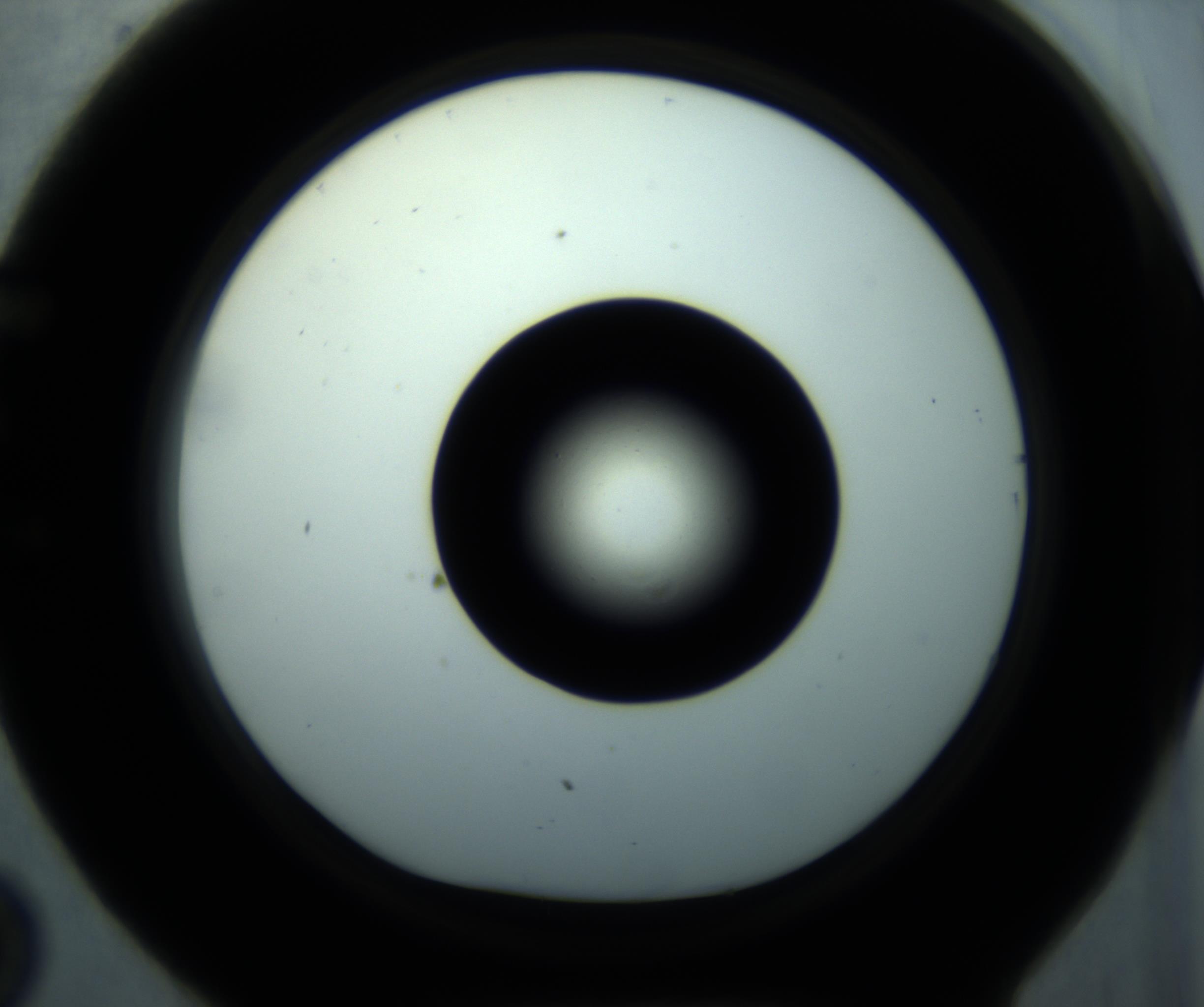 RI01_03_000_0212_Proj1_Clon1_MC_0000MC102897_001_161027_02_05_01_00_98_002_001_RAI.jpg