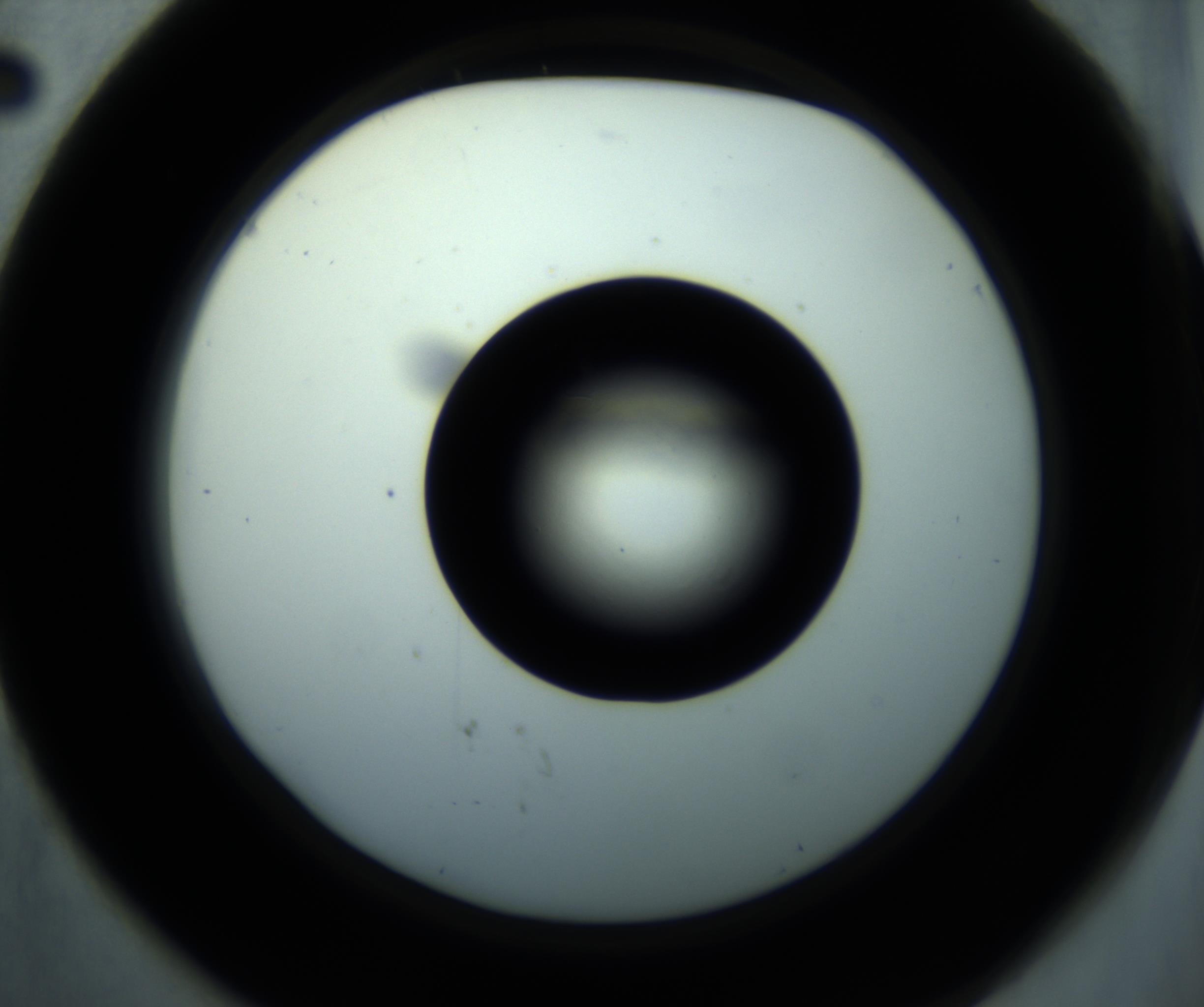 RI01_03_000_0212_Proj1_Clon1_MC_0000MC102897_001_161027_02_05_02_00_98_002_001_RAI.jpg