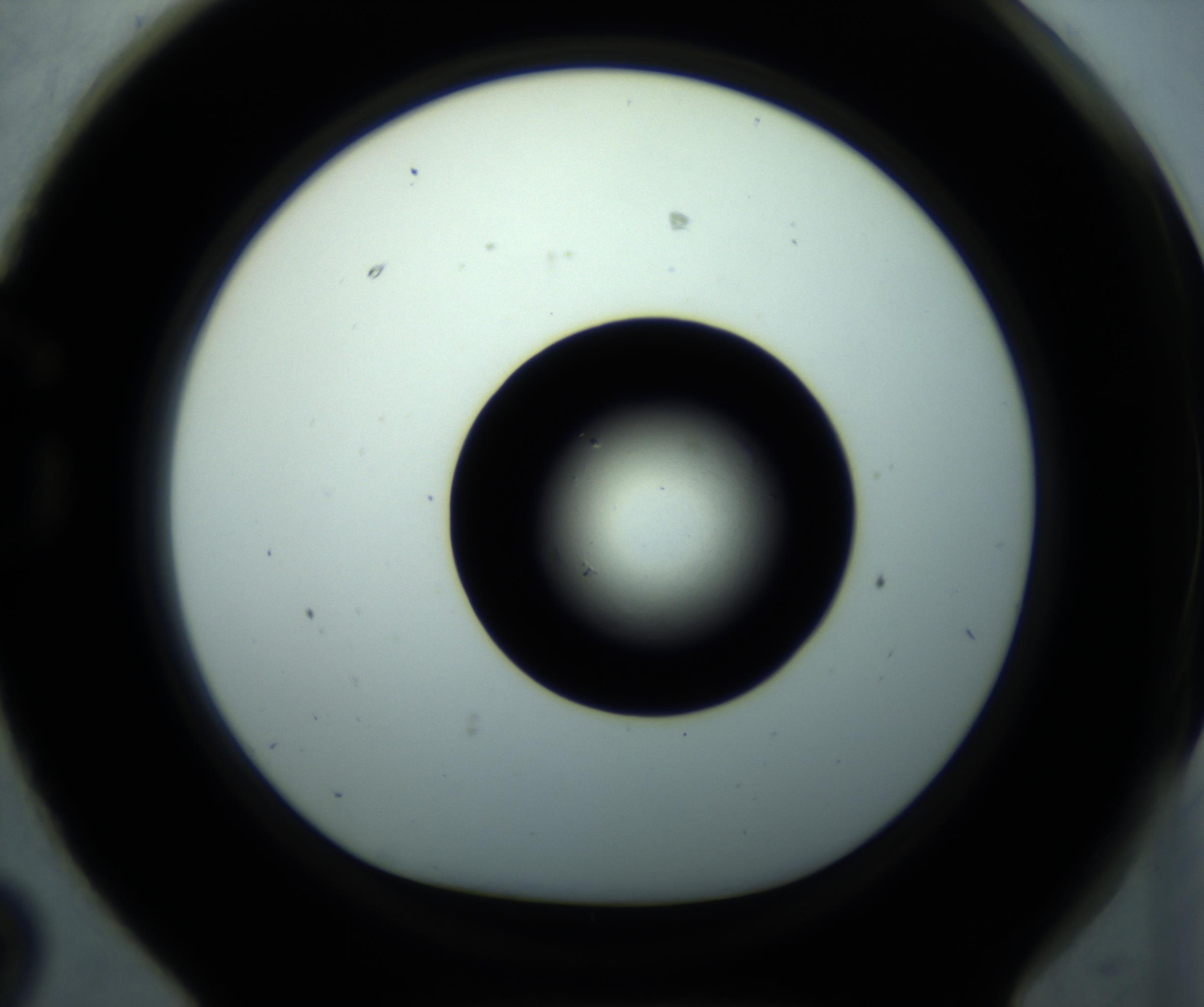 RI01_03_000_0212_Proj1_Clon1_MC_0000MC102897_001_161027_02_07_01_00_98_002_001_RAI.jpg