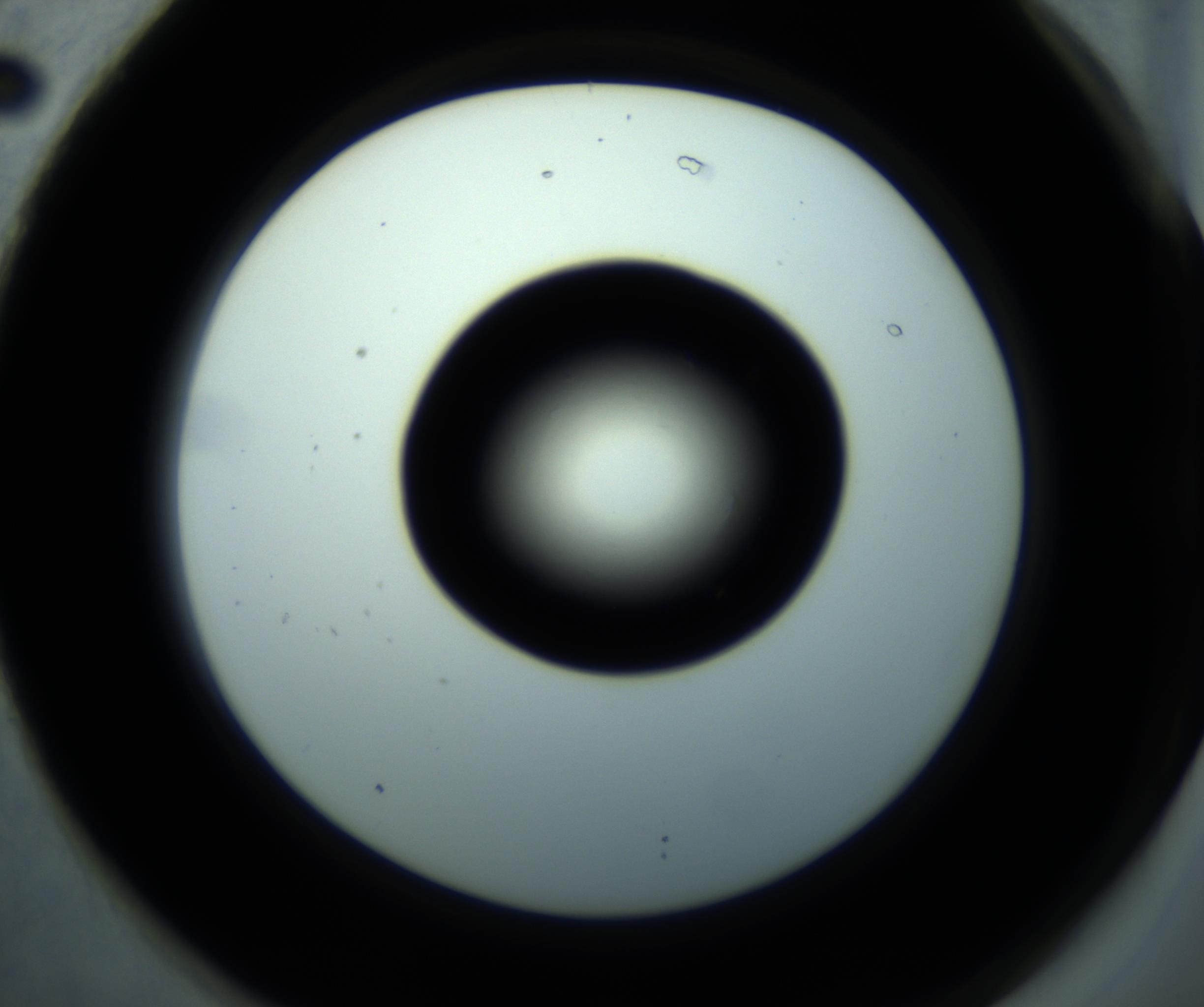 RI01_03_000_0212_Proj1_Clon1_MC_0000MC102897_001_161027_02_07_02_00_98_002_001_RAI.jpg