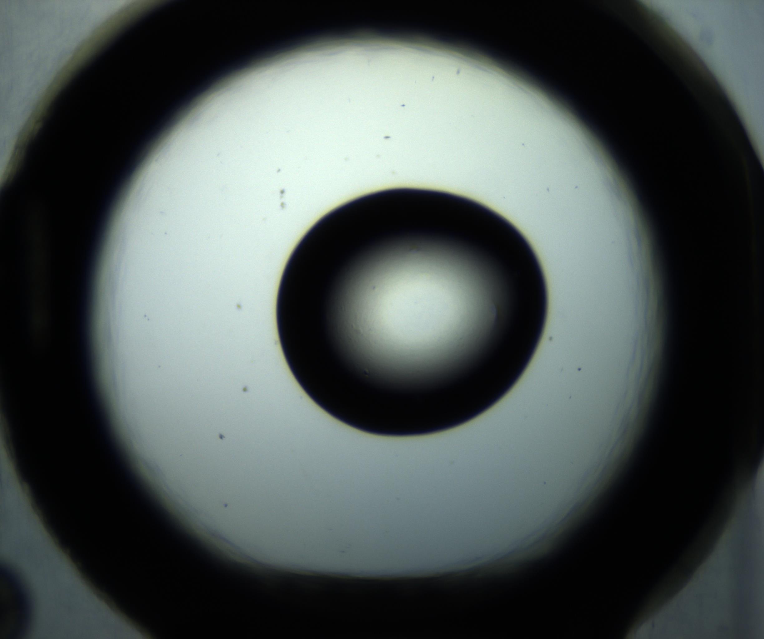 RI01_03_000_0212_Proj1_Clon1_MC_0000MC102897_001_161027_02_08_01_00_98_002_001_RAI.jpg
