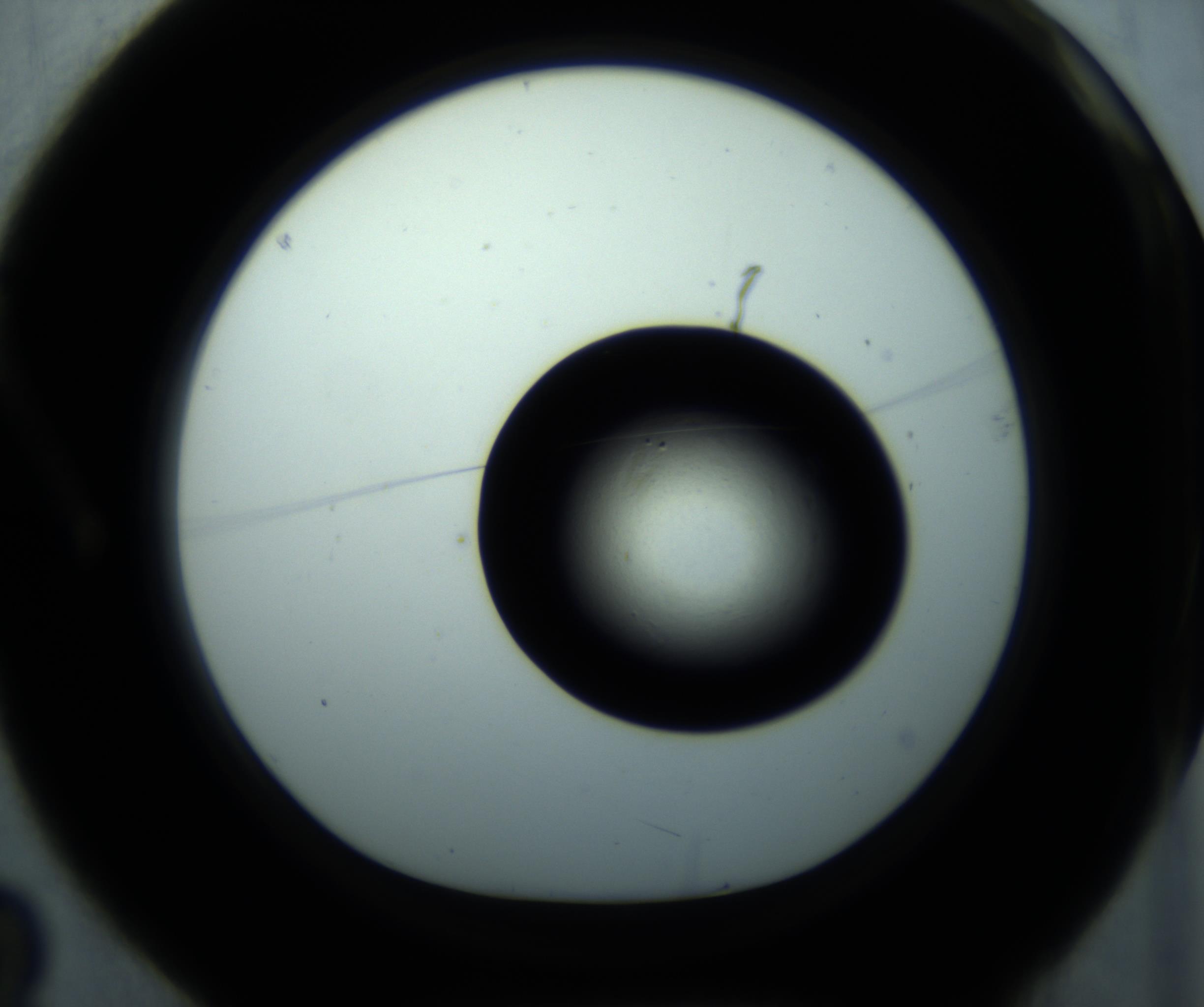 RI01_03_000_0212_Proj1_Clon1_MC_0000MC102897_001_161027_03_01_01_00_98_002_001_RAI.jpg