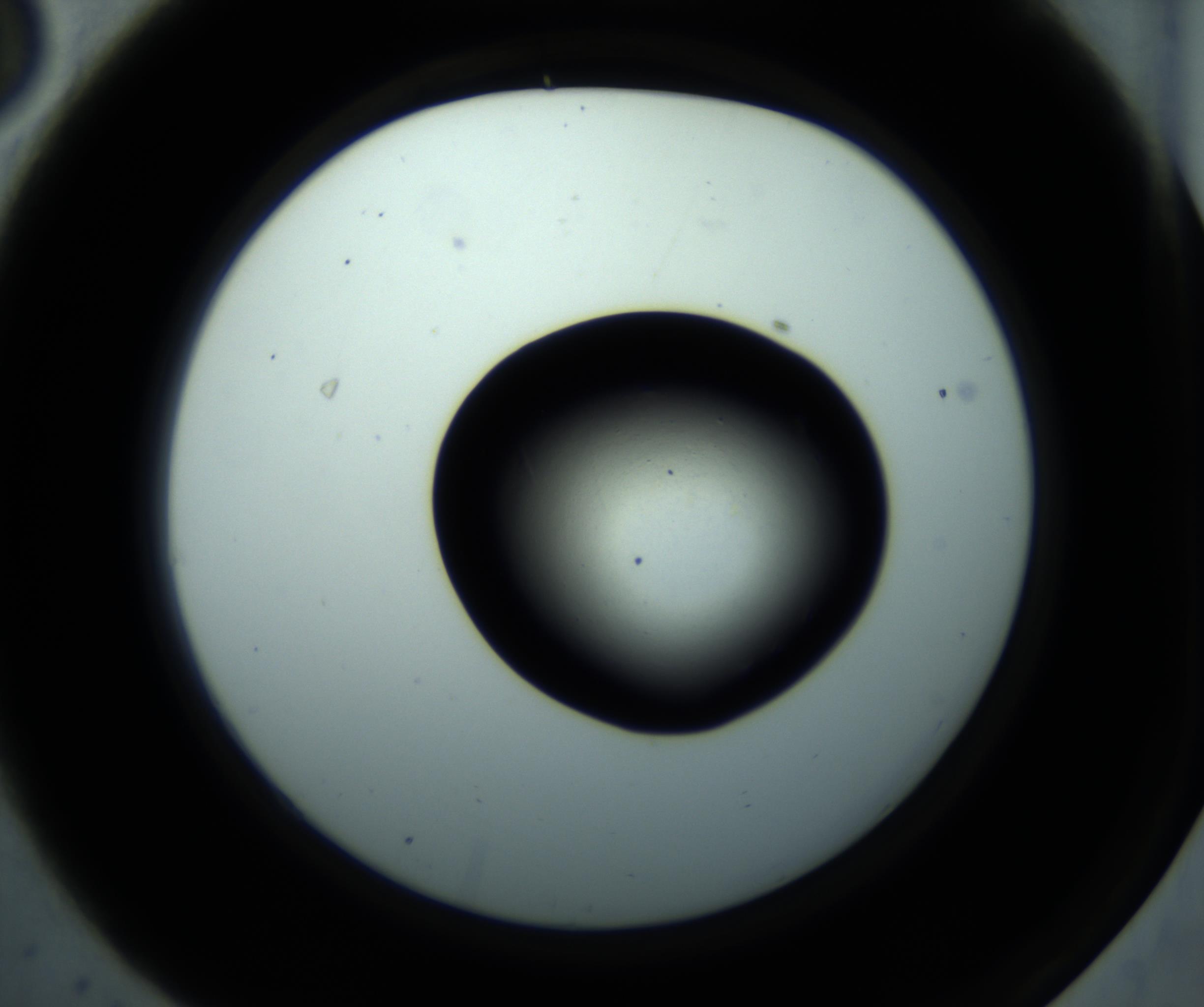 RI01_03_000_0212_Proj1_Clon1_MC_0000MC102897_001_161027_03_01_02_00_98_002_001_RAI.jpg