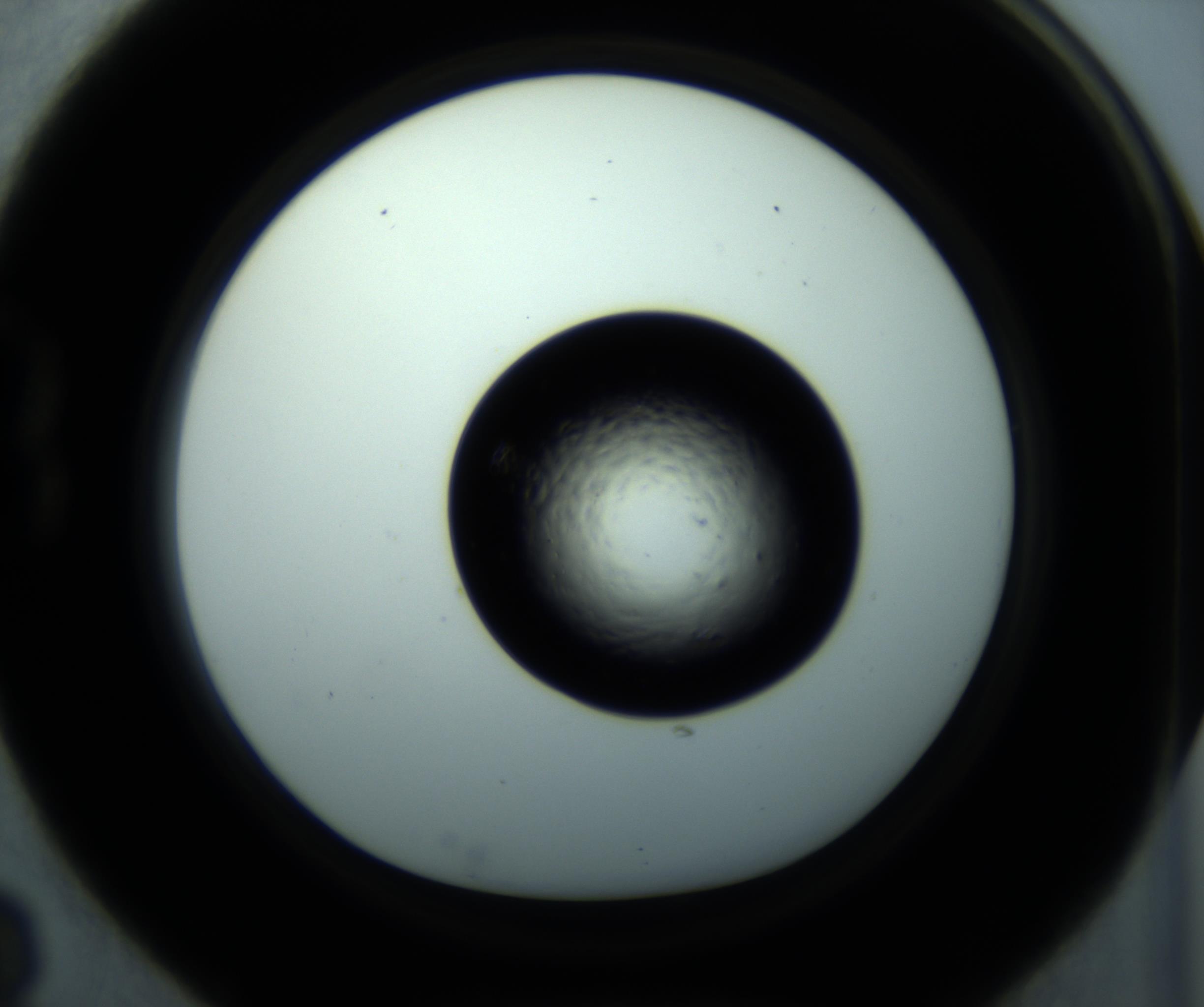 RI01_03_000_0212_Proj1_Clon1_MC_0000MC102897_001_161027_03_02_01_00_98_002_001_RAI.jpg
