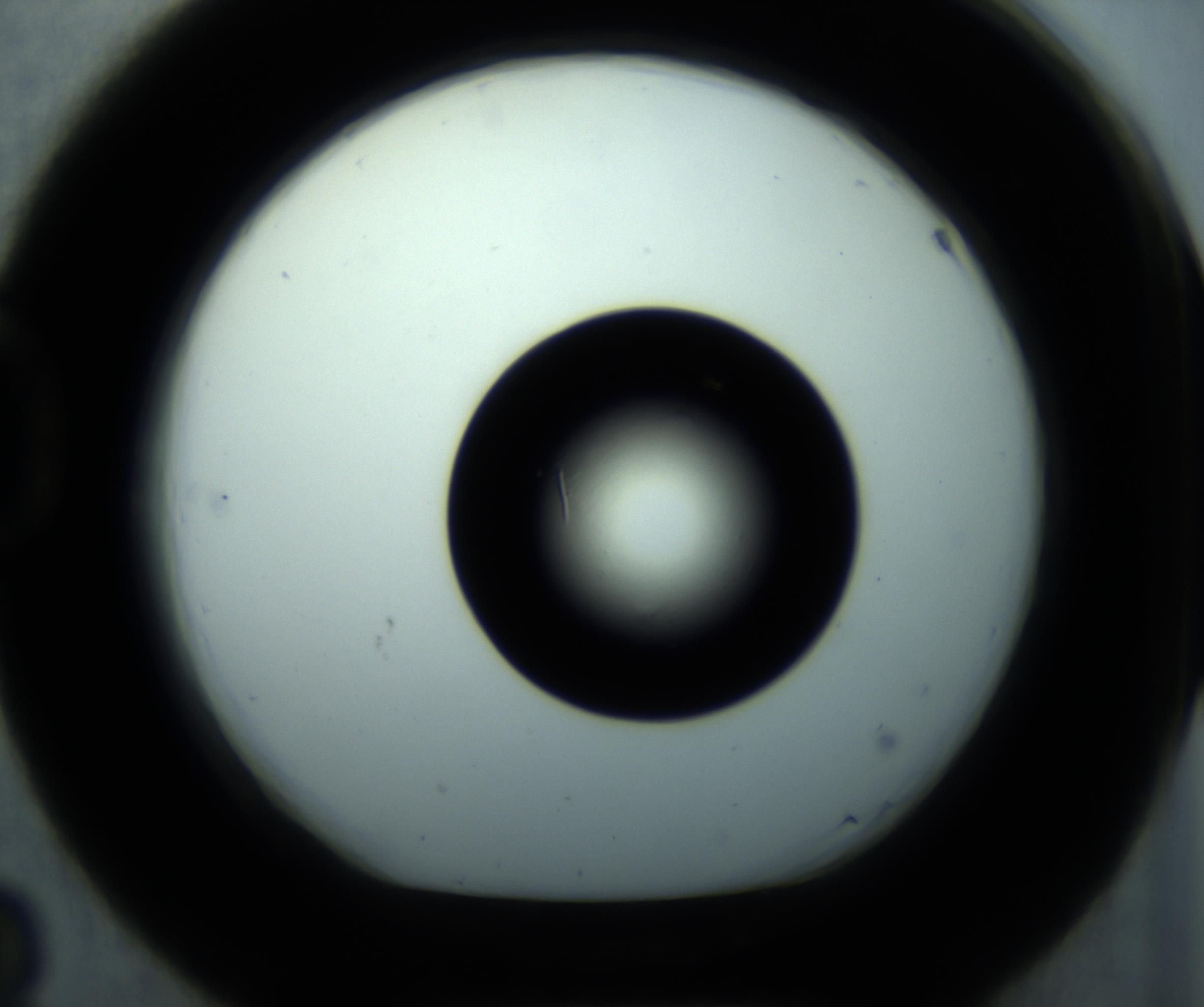 RI01_03_000_0212_Proj1_Clon1_MC_0000MC102897_001_161027_03_04_01_00_98_002_001_RAI.jpg
