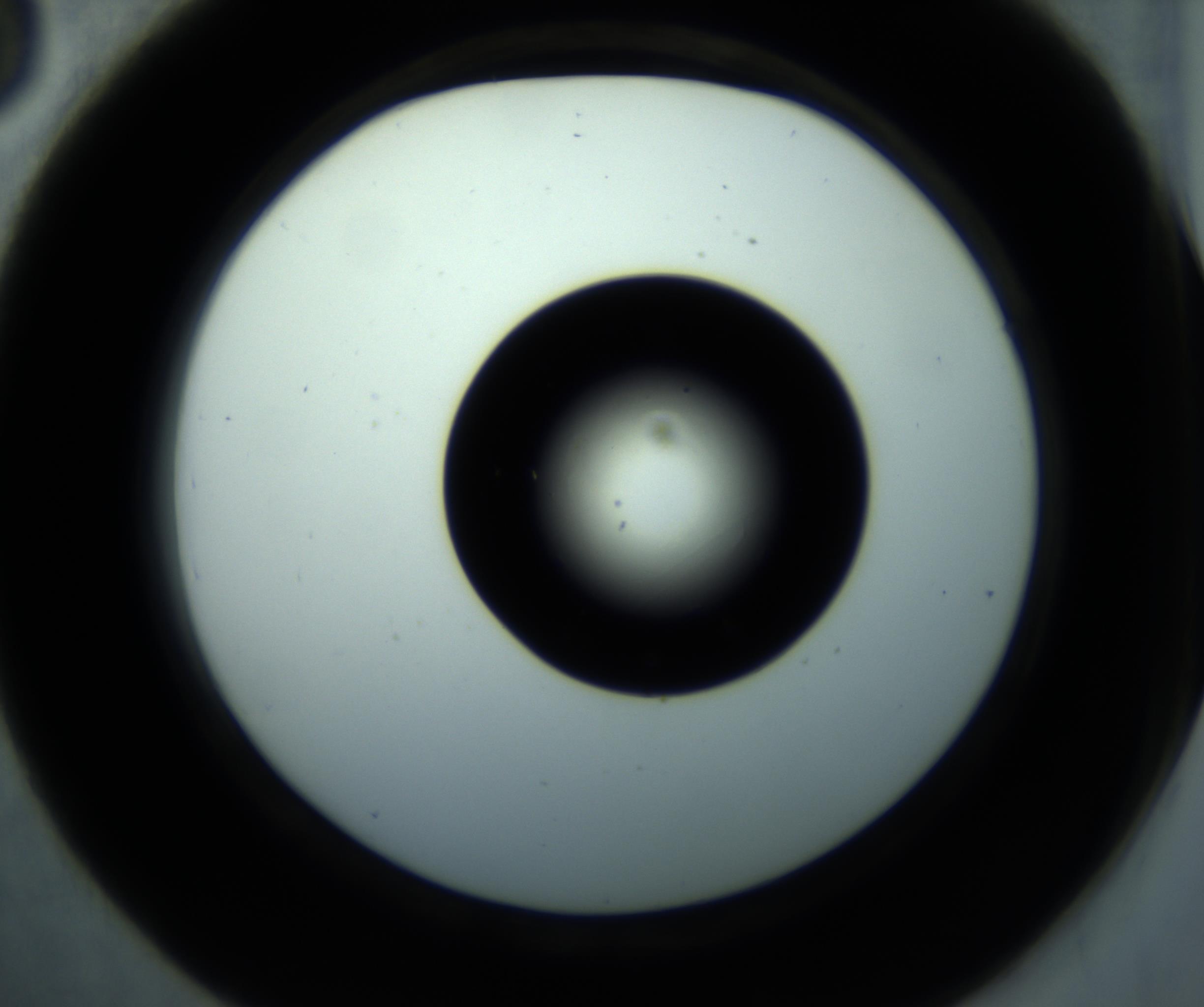 RI01_03_000_0212_Proj1_Clon1_MC_0000MC102897_001_161027_03_04_02_00_98_002_001_RAI.jpg