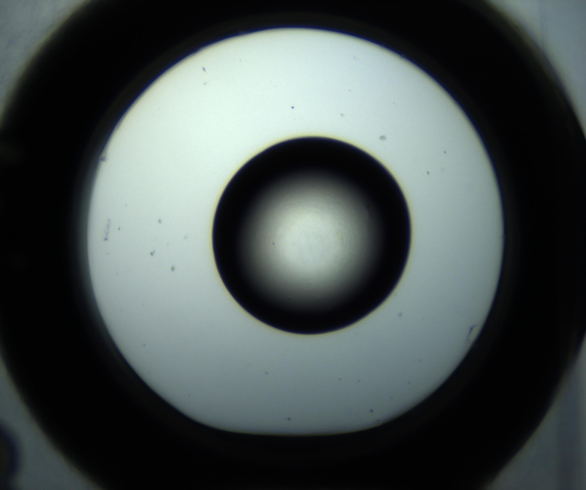 RI01_03_000_0212_Proj1_Clon1_MC_0000MC102897_001_161027_03_05_01_00_98_002_001_RAI.jpg