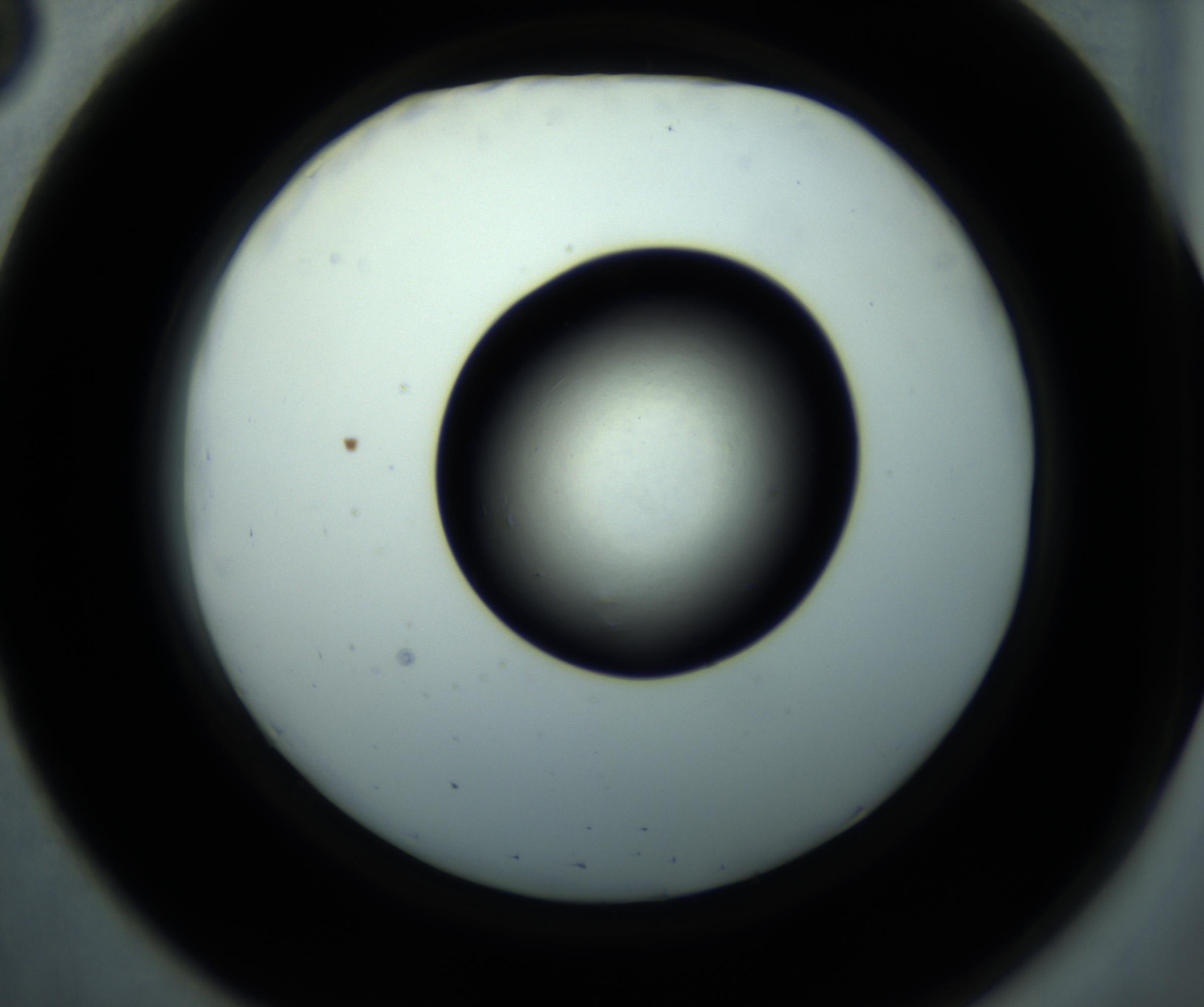 RI01_03_000_0212_Proj1_Clon1_MC_0000MC102897_001_161027_03_05_02_00_98_002_001_RAI.jpg