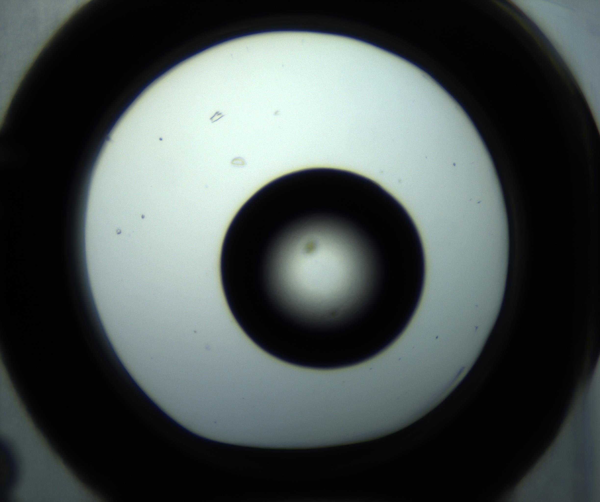 RI01_03_000_0212_Proj1_Clon1_MC_0000MC102897_001_161027_03_06_01_00_98_002_001_RAI.jpg