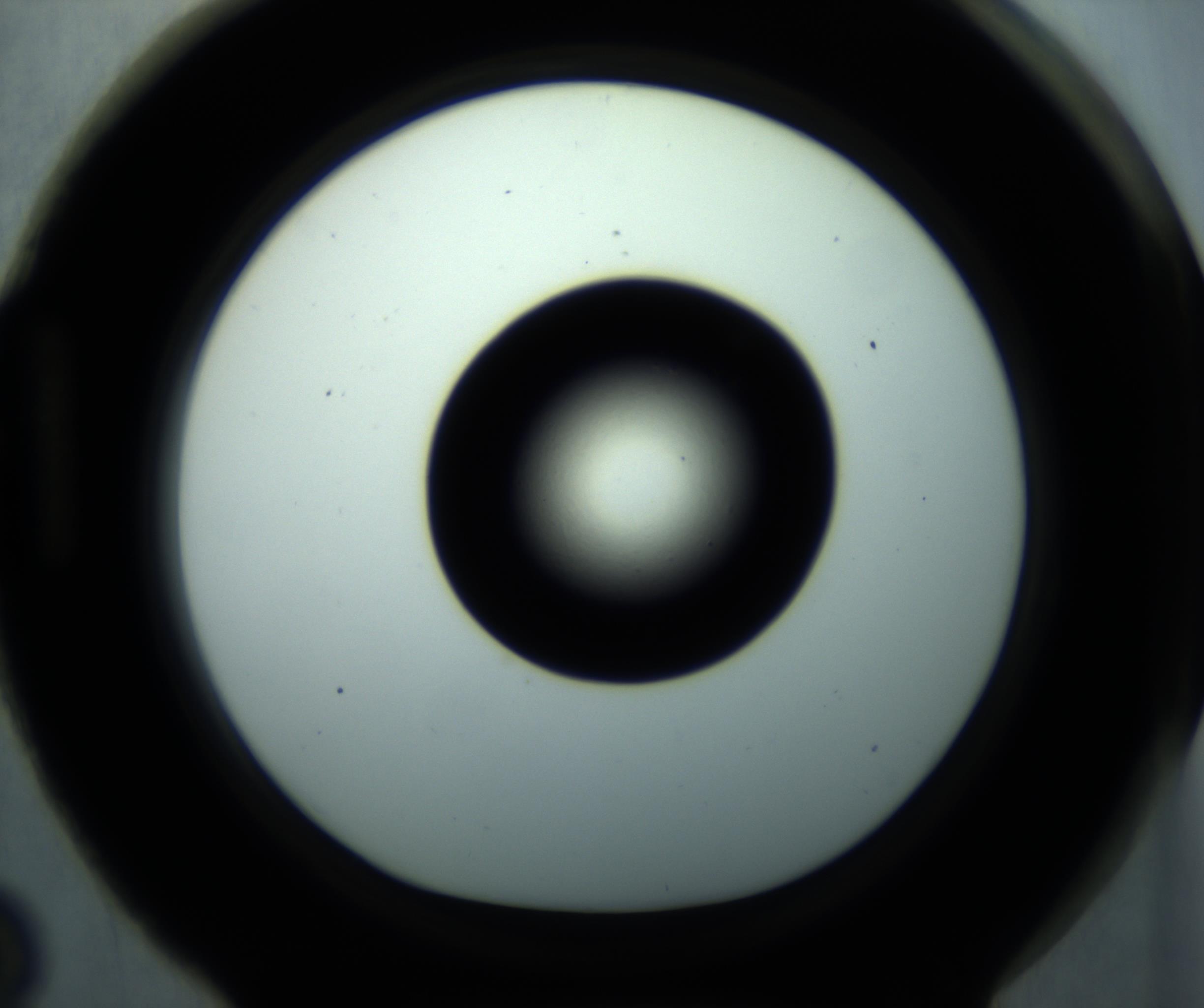 RI01_03_000_0212_Proj1_Clon1_MC_0000MC102897_001_161027_03_08_01_00_98_002_001_RAI.jpg