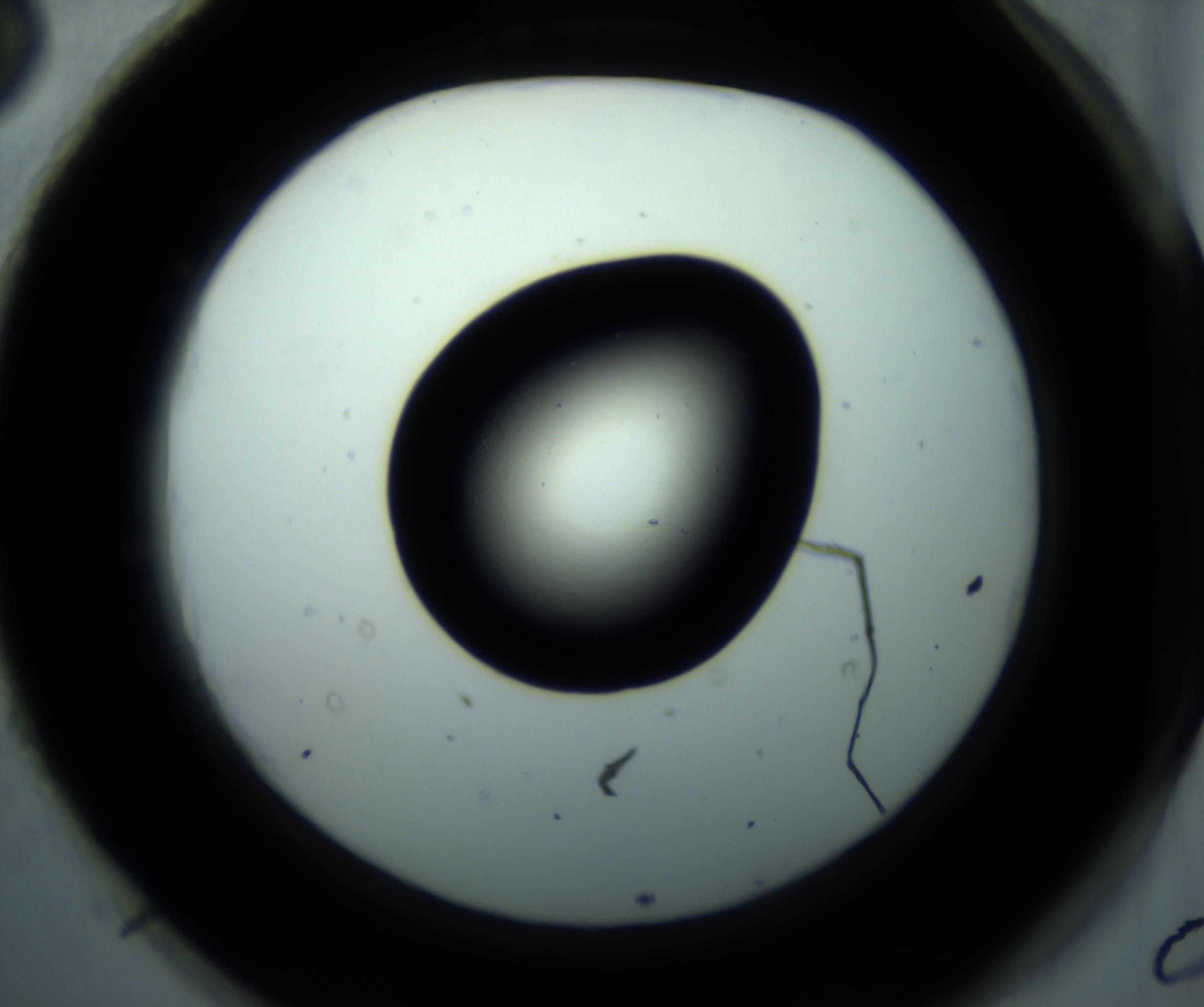 RI01_03_000_0212_Proj1_Clon1_MC_0000MC102897_001_161027_03_08_02_00_98_002_001_RAI.jpg