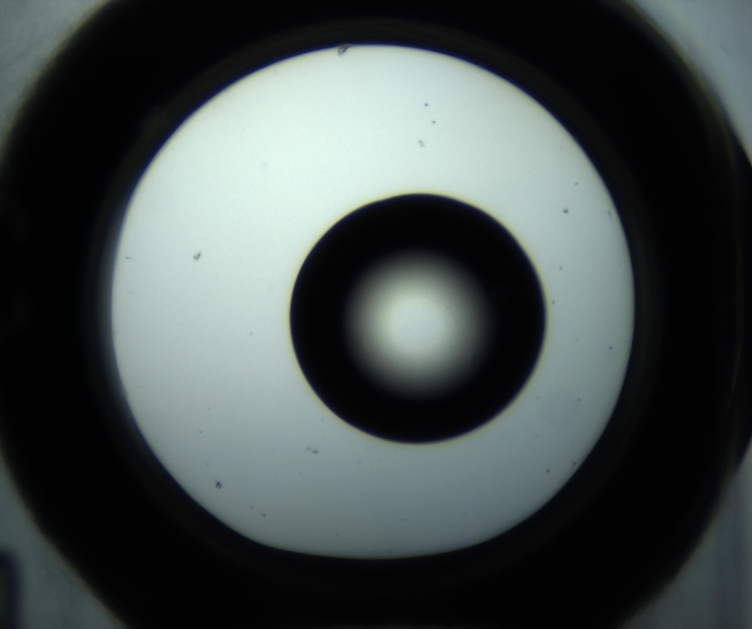 RI01_03_000_0212_Proj1_Clon1_MC_0000MC102897_001_161027_04_03_01_00_98_002_001_RAI.jpg