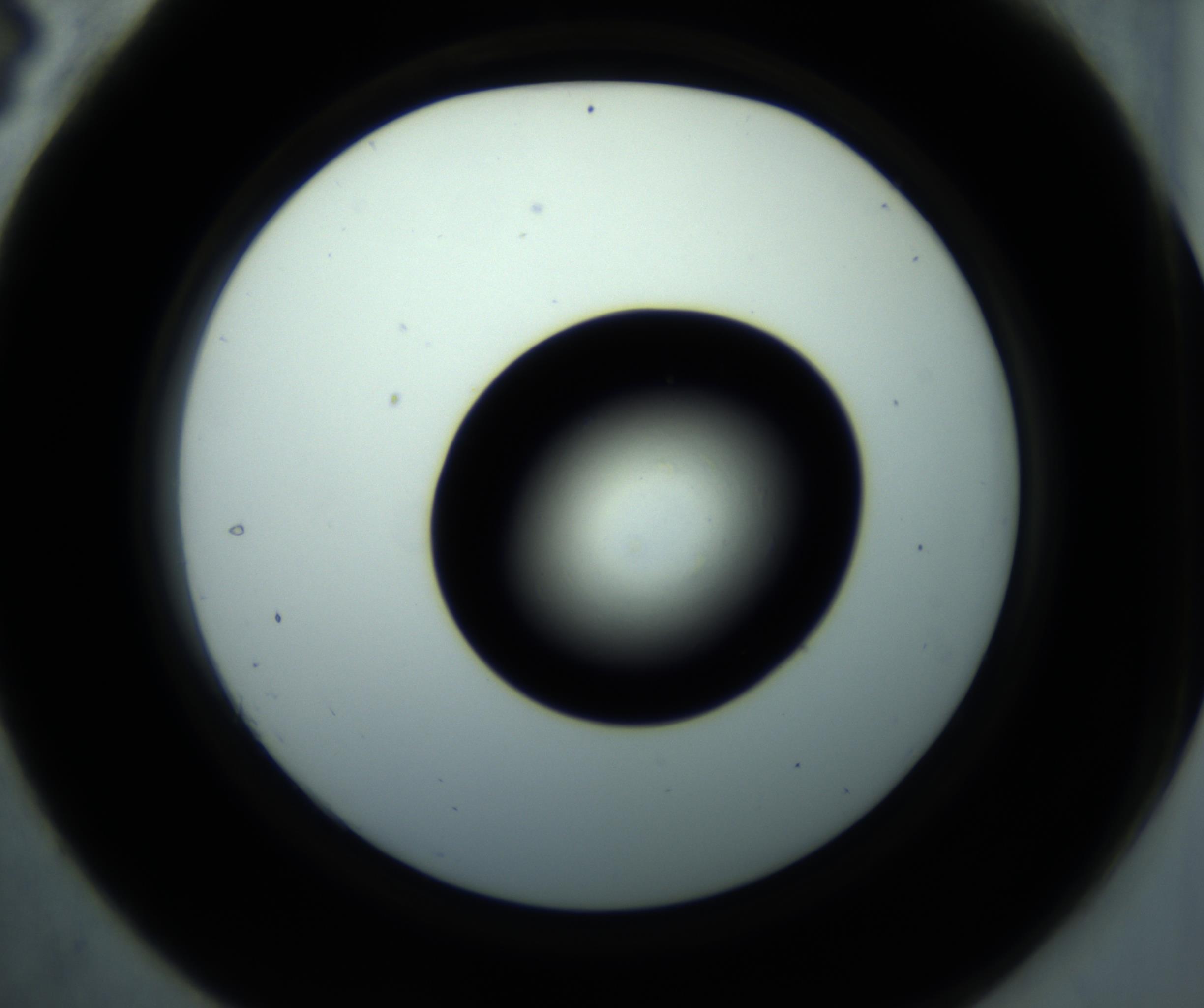 RI01_03_000_0212_Proj1_Clon1_MC_0000MC102897_001_161027_04_03_02_00_98_002_001_RAI.jpg