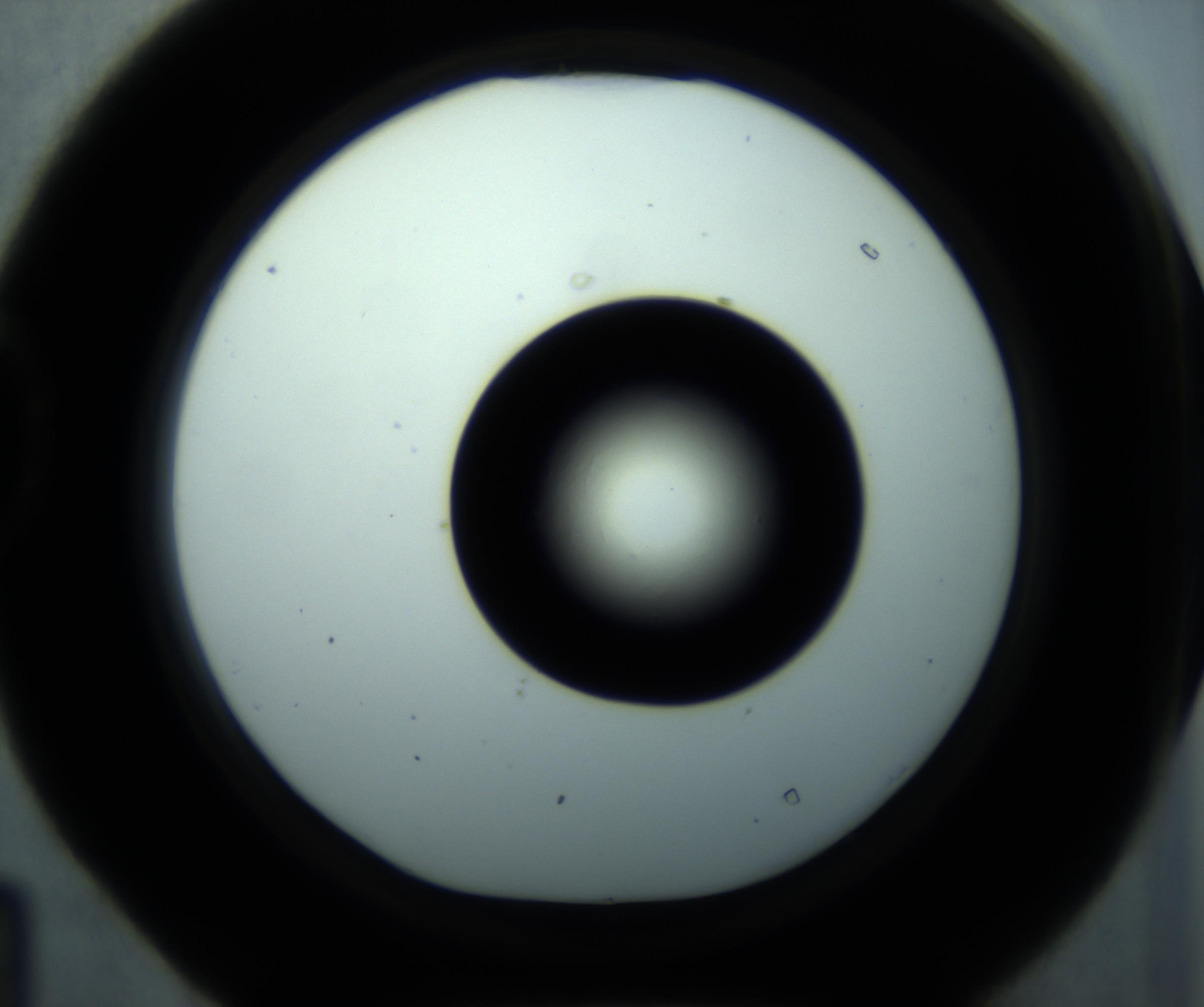 RI01_03_000_0212_Proj1_Clon1_MC_0000MC102897_001_161027_04_04_01_00_98_002_001_RAI.jpg