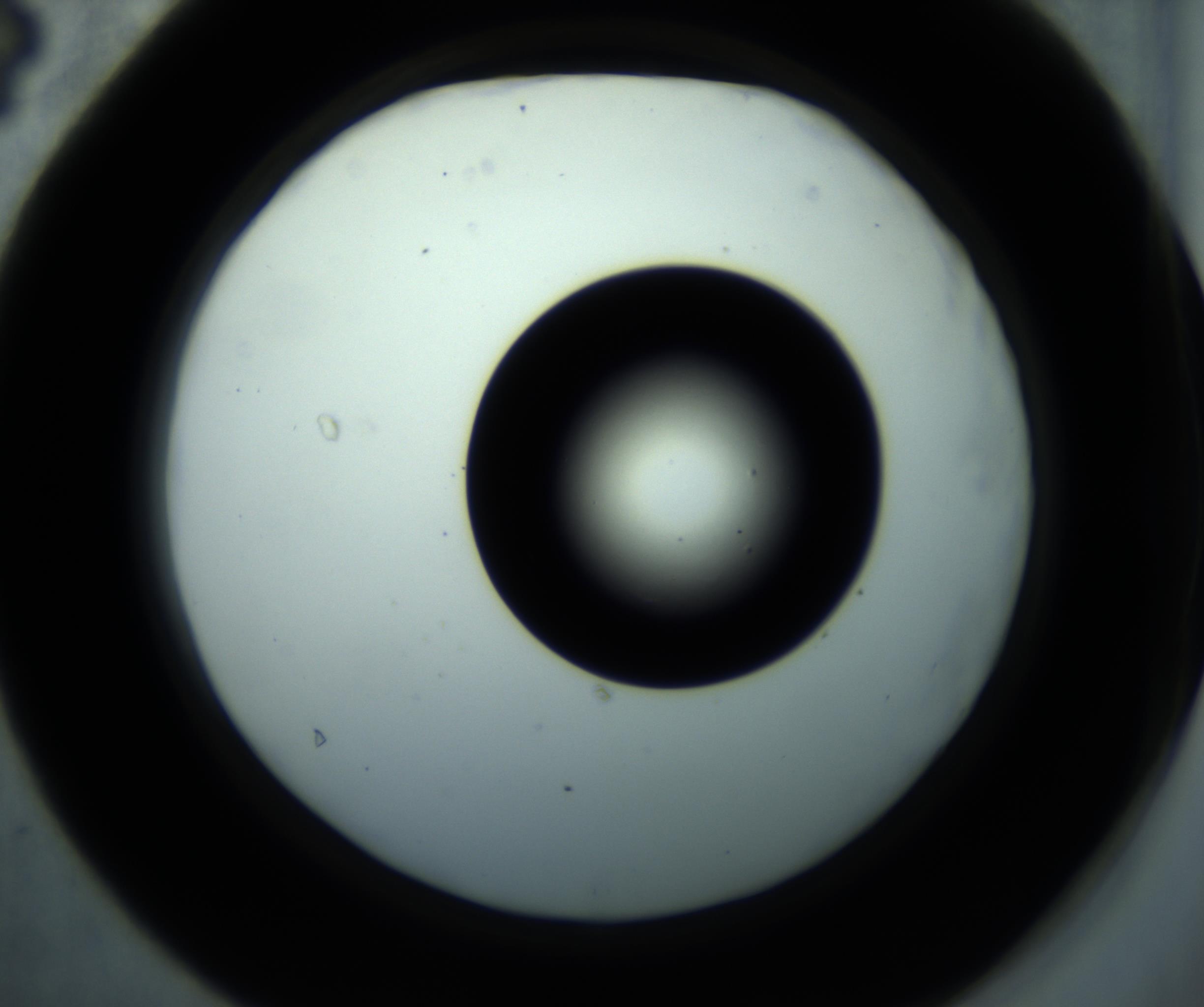 RI01_03_000_0212_Proj1_Clon1_MC_0000MC102897_001_161027_04_04_02_00_98_002_001_RAI.jpg