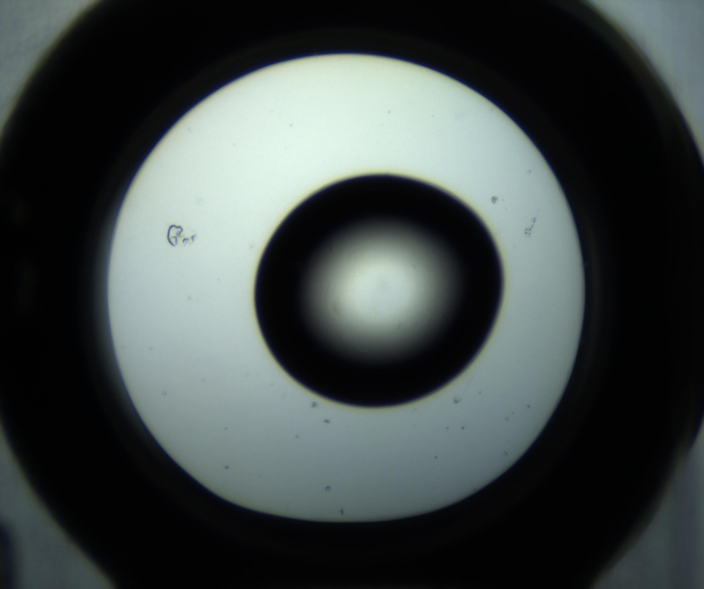 RI01_03_000_0212_Proj1_Clon1_MC_0000MC102897_001_161027_04_07_01_00_98_002_001_RAI.jpg