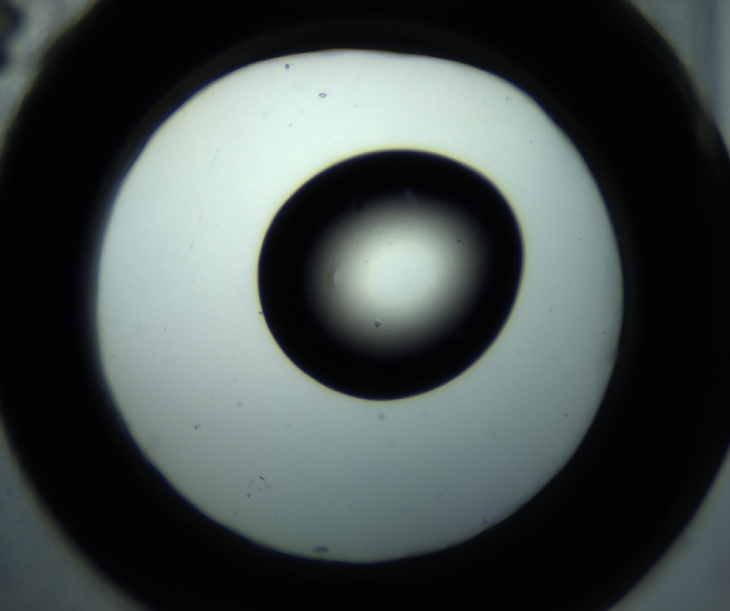 RI01_03_000_0212_Proj1_Clon1_MC_0000MC102897_001_161027_04_07_02_00_98_002_001_RAI.jpg